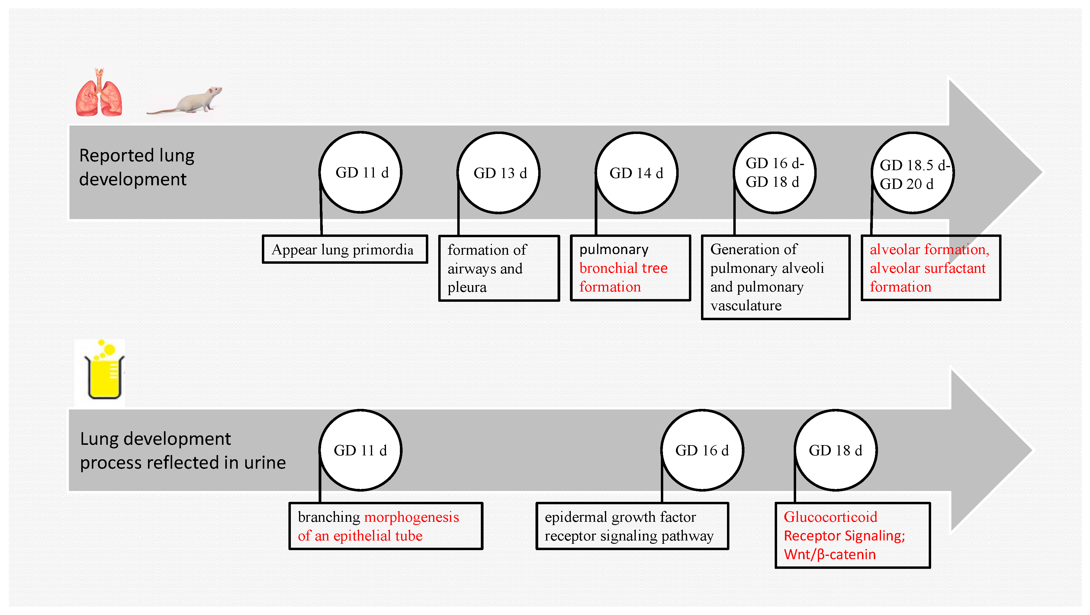 Biomolecules 13 00034 g006