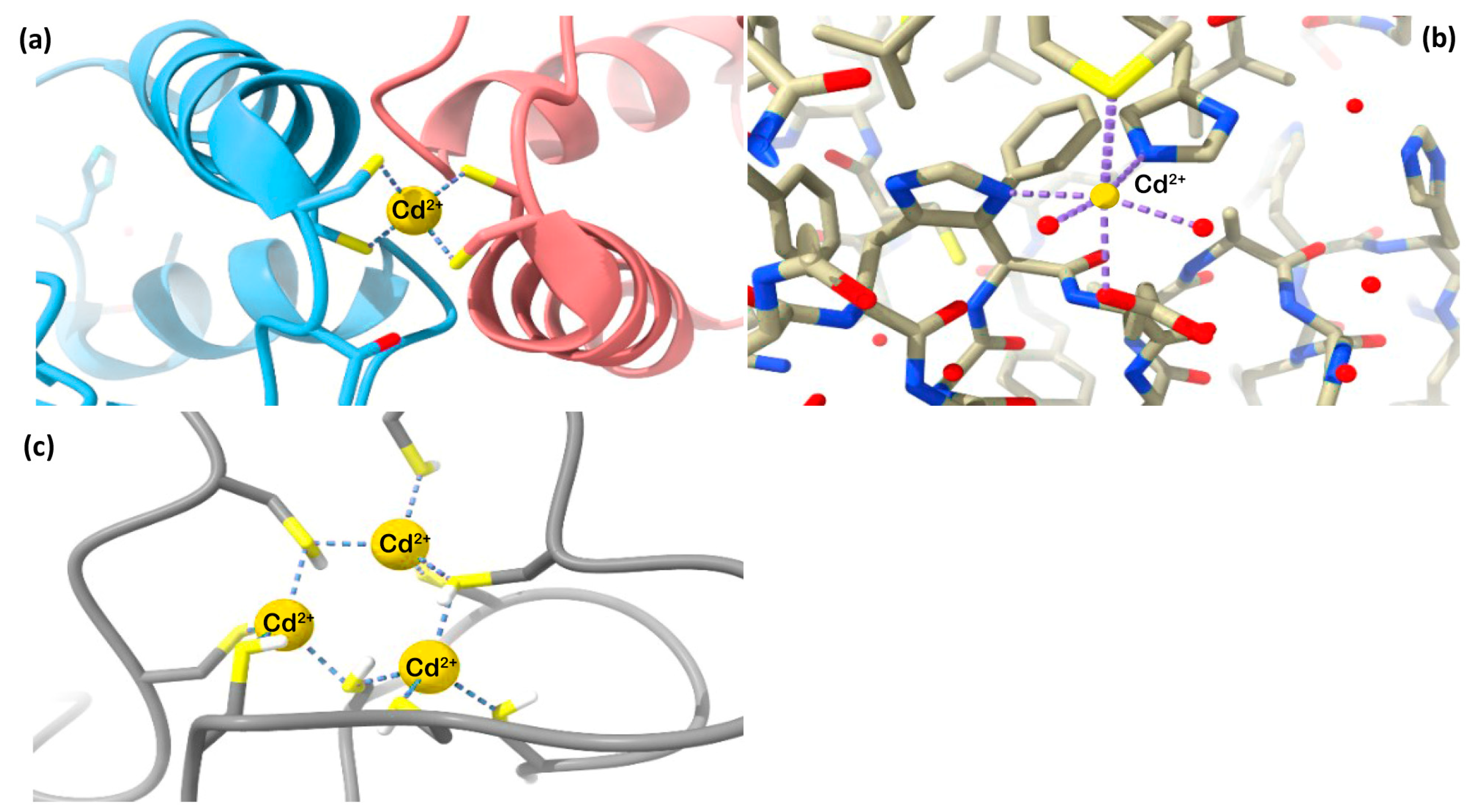 Biomolecules 13 00036 g001 Biomolecules 13 00036 g001