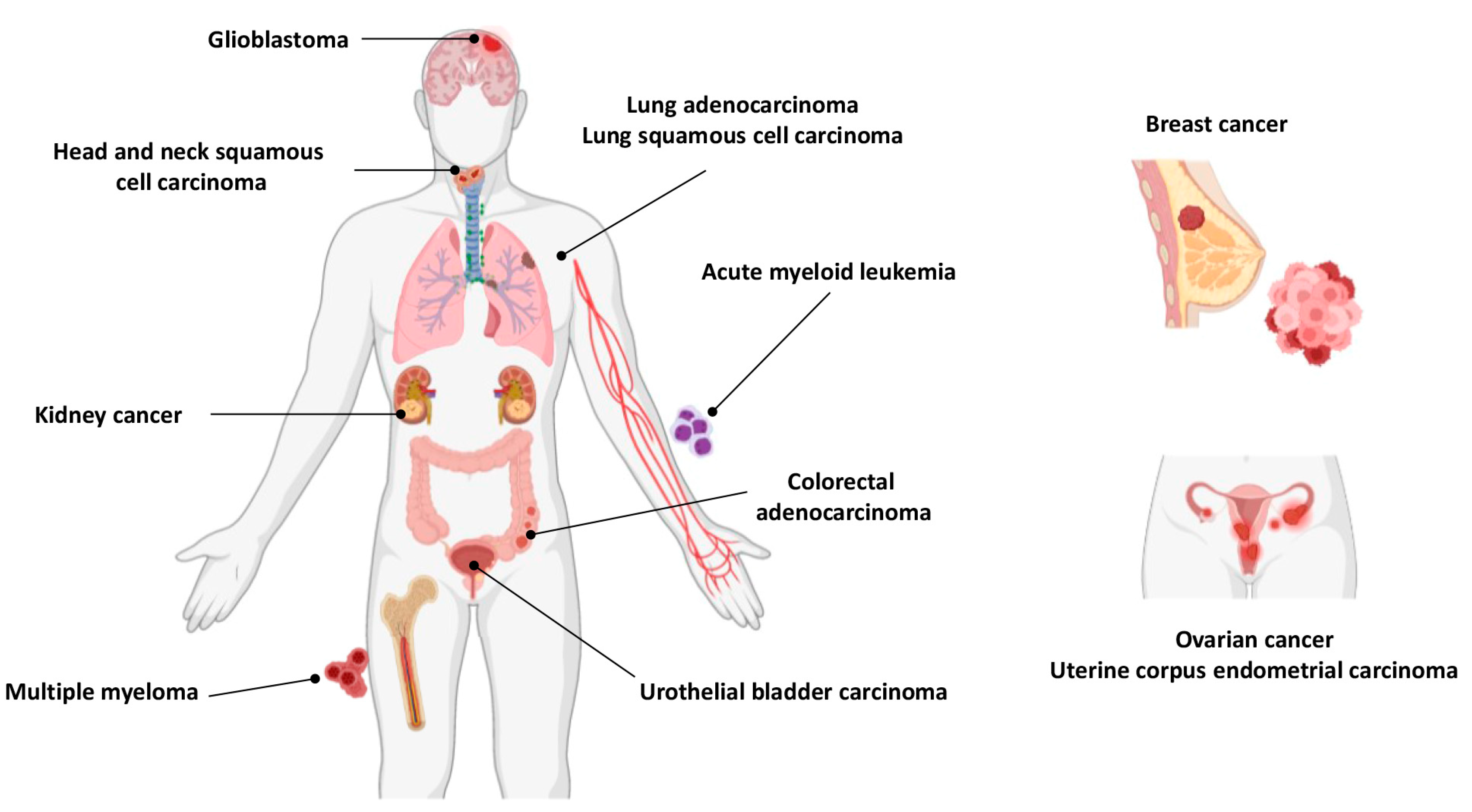 Biomolecules 13 00036 g005 Biomolecules 13 00036 g005