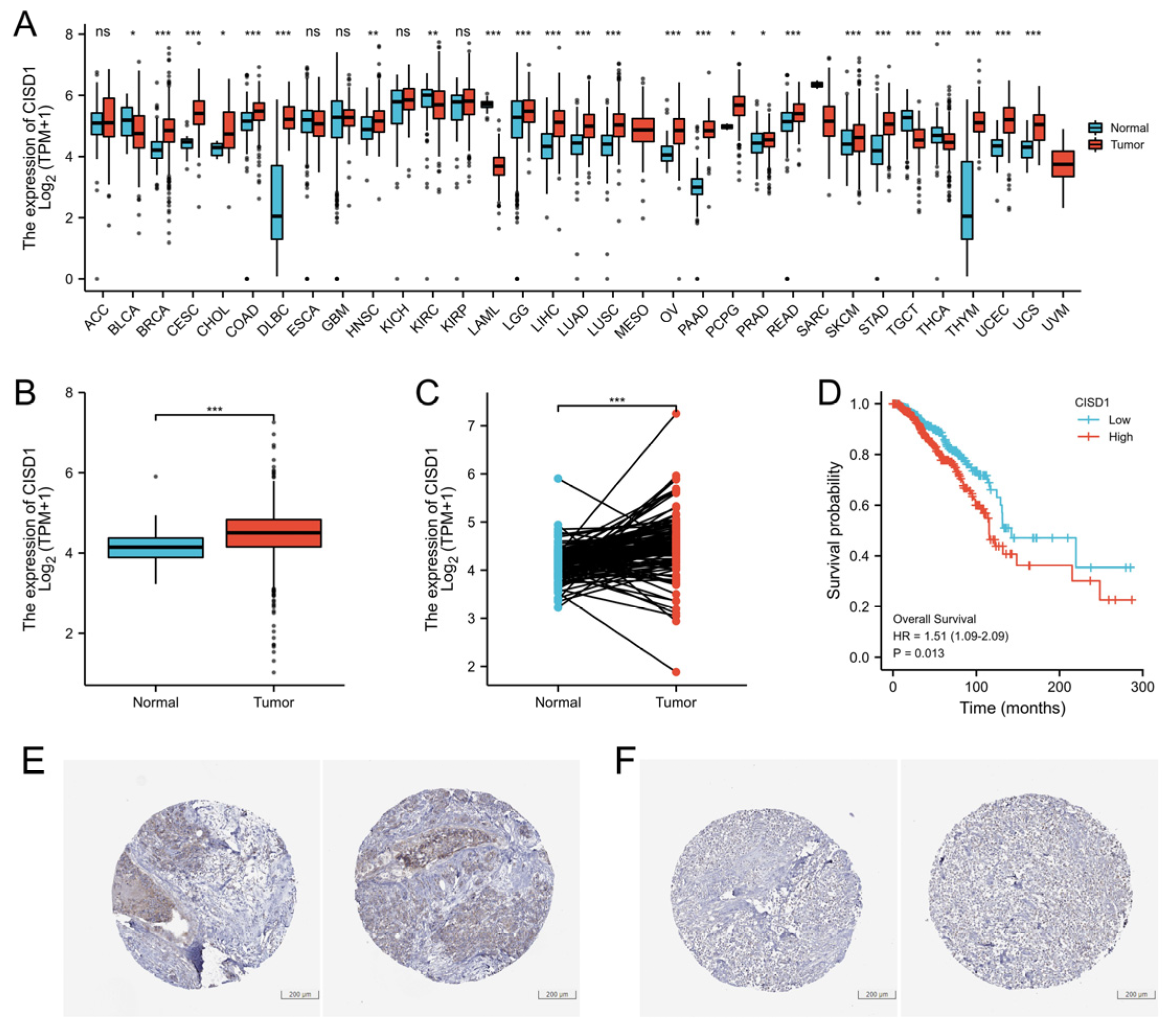 Biomolecules 13 00037 g001