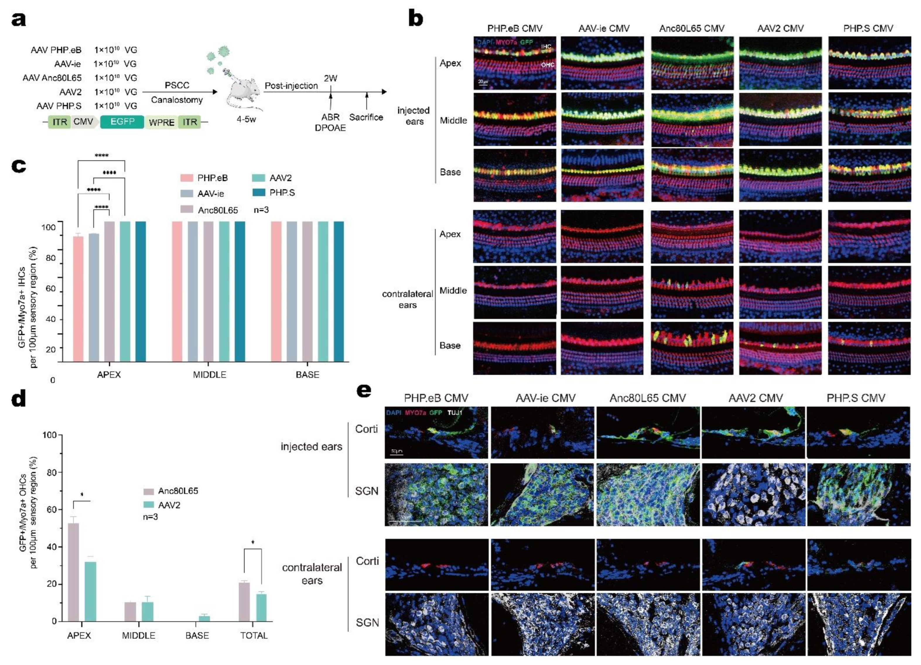 Biomolecules 13 00038 g005