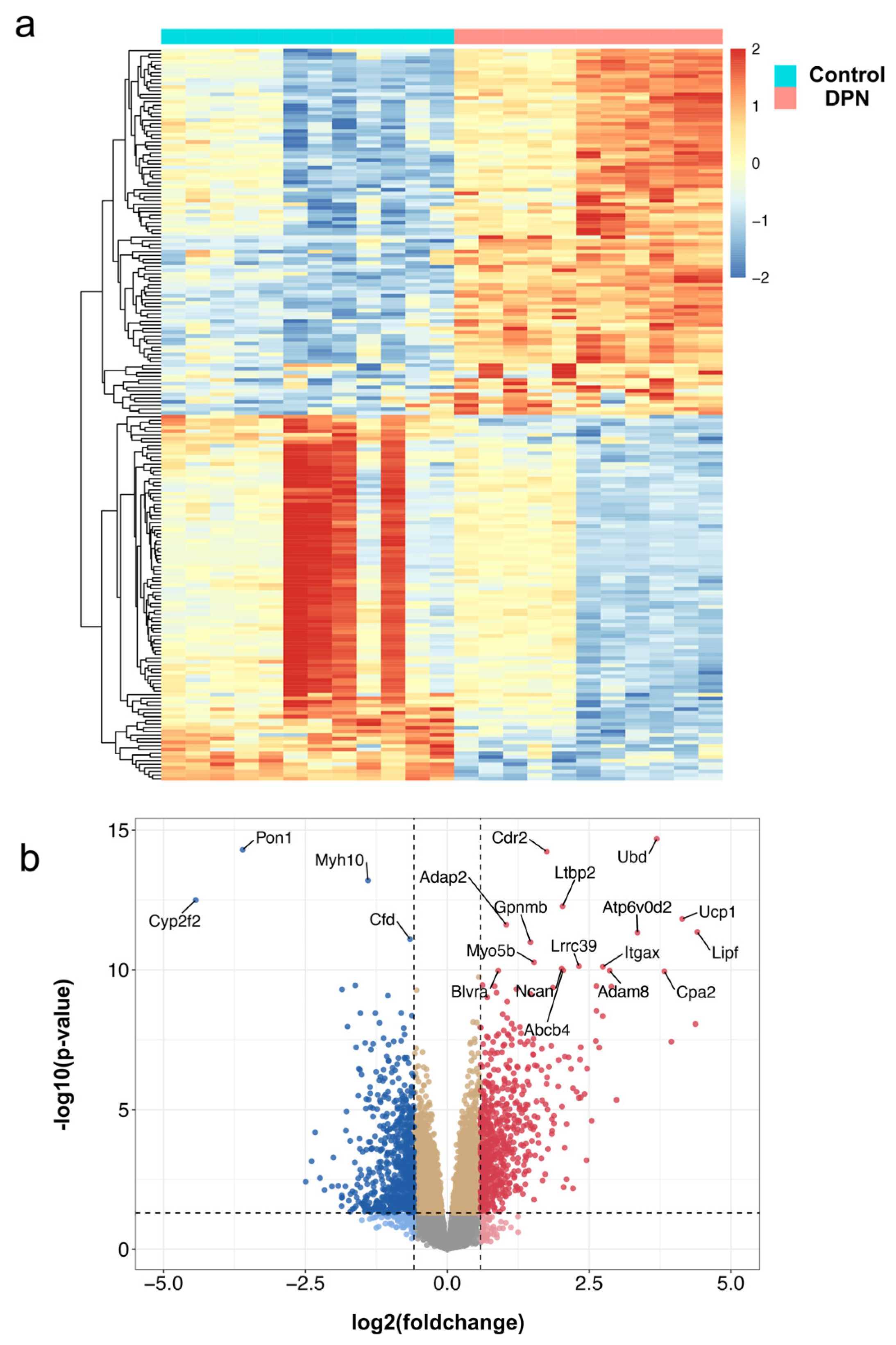 Biomolecules 13 00039 g002