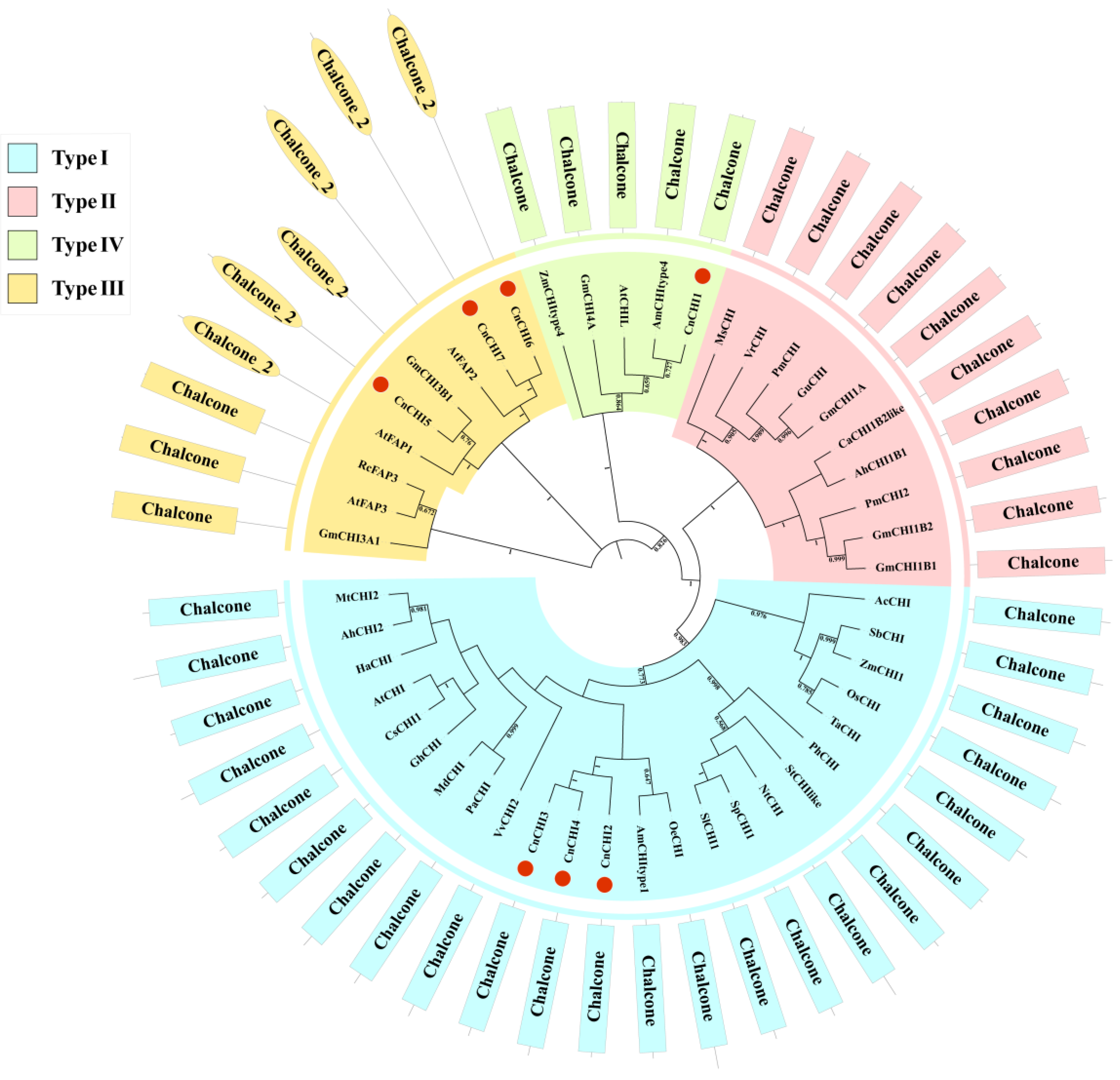 Biomolecules 13 00041 g002