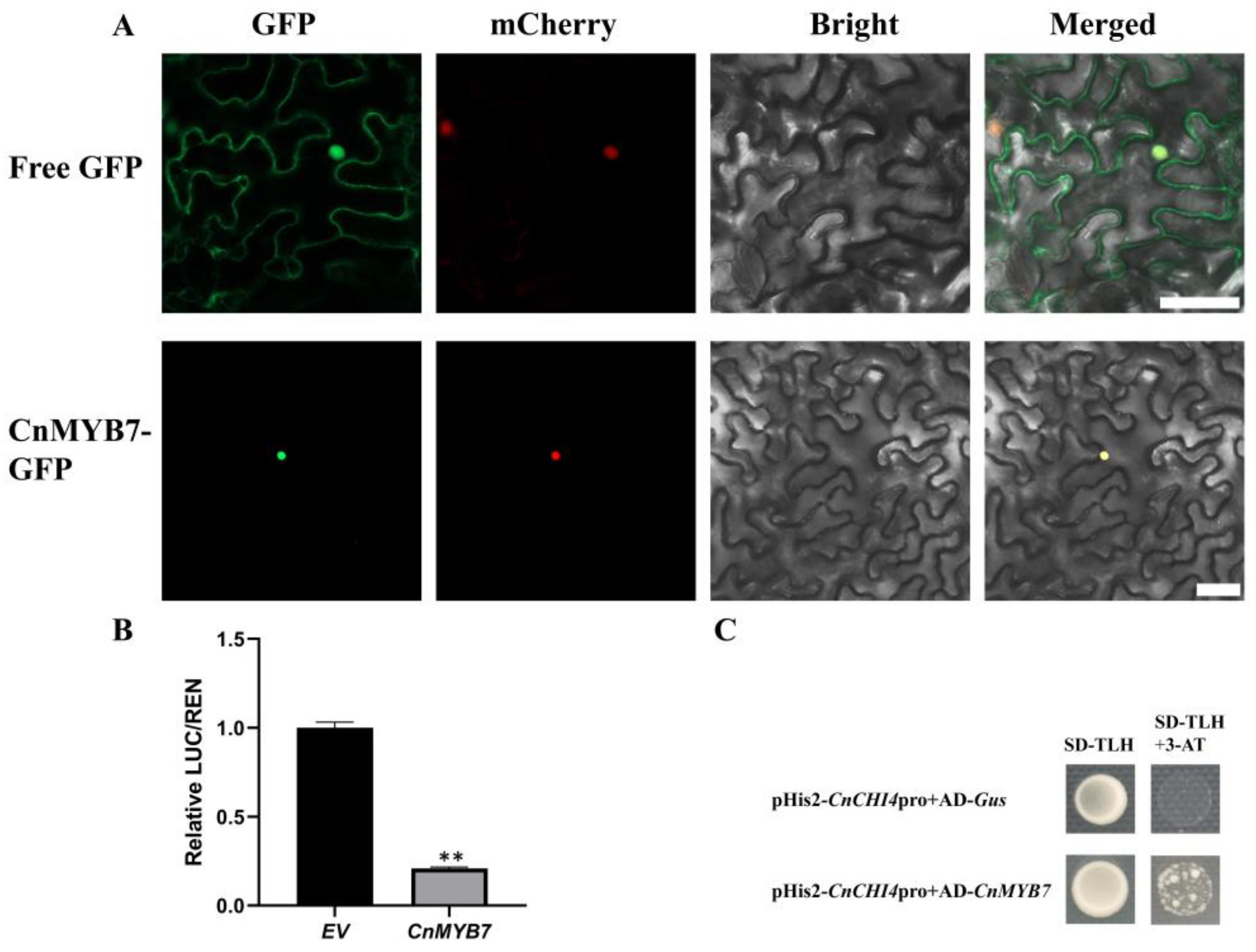 Biomolecules 13 00041 g008