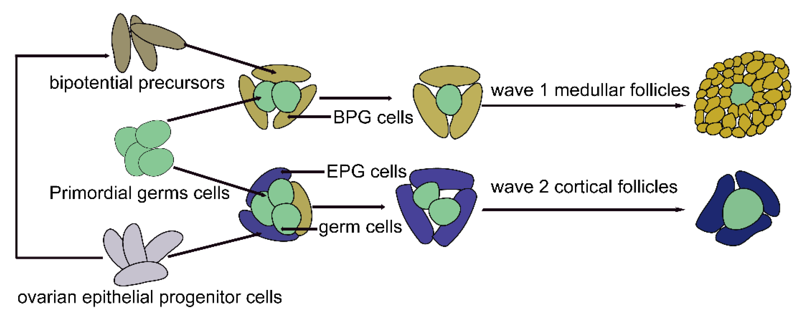 Biomolecules 13 00047 g002