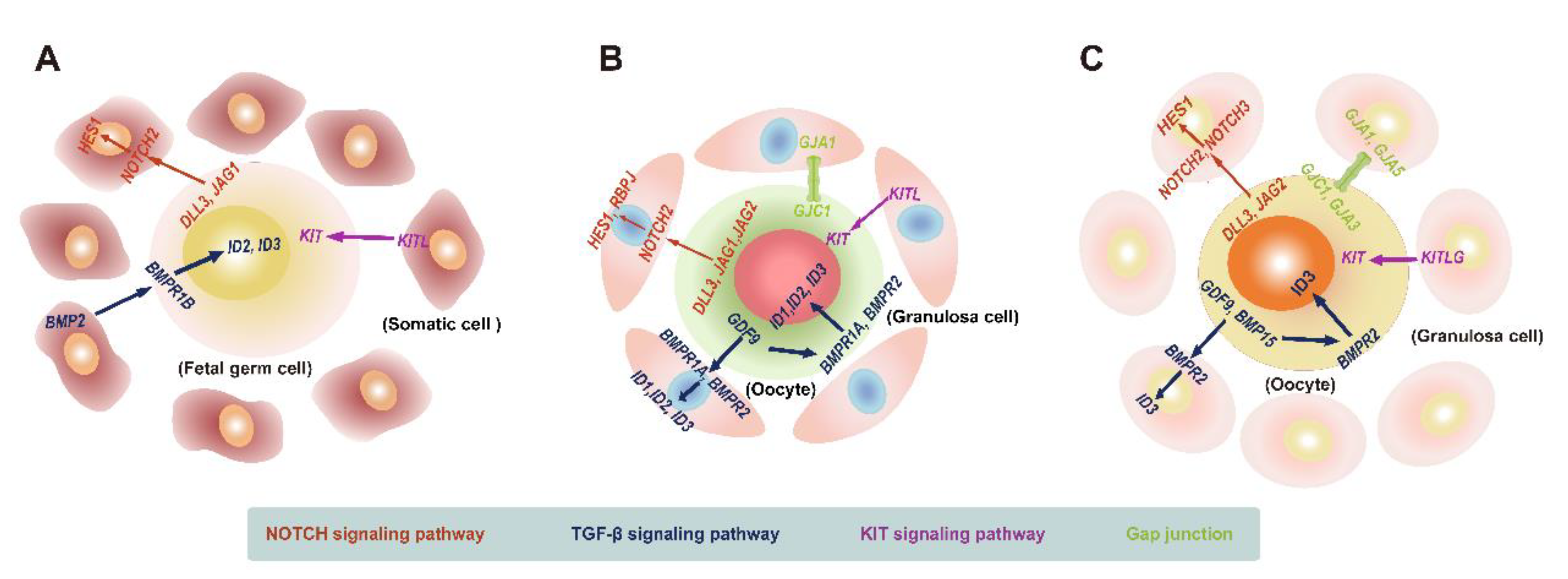 Biomolecules 13 00047 g003
