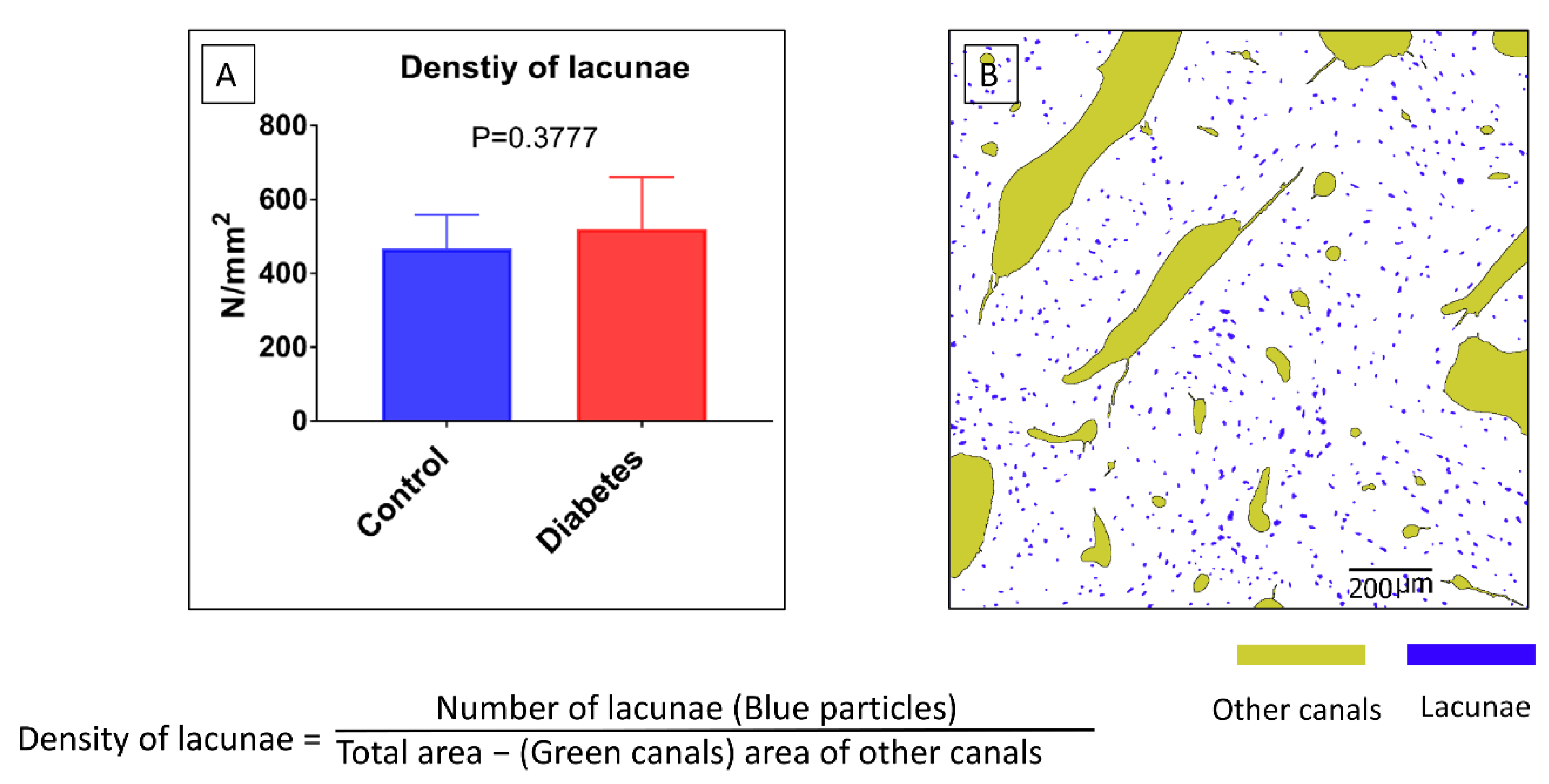 Biomolecules 13 00049 g008