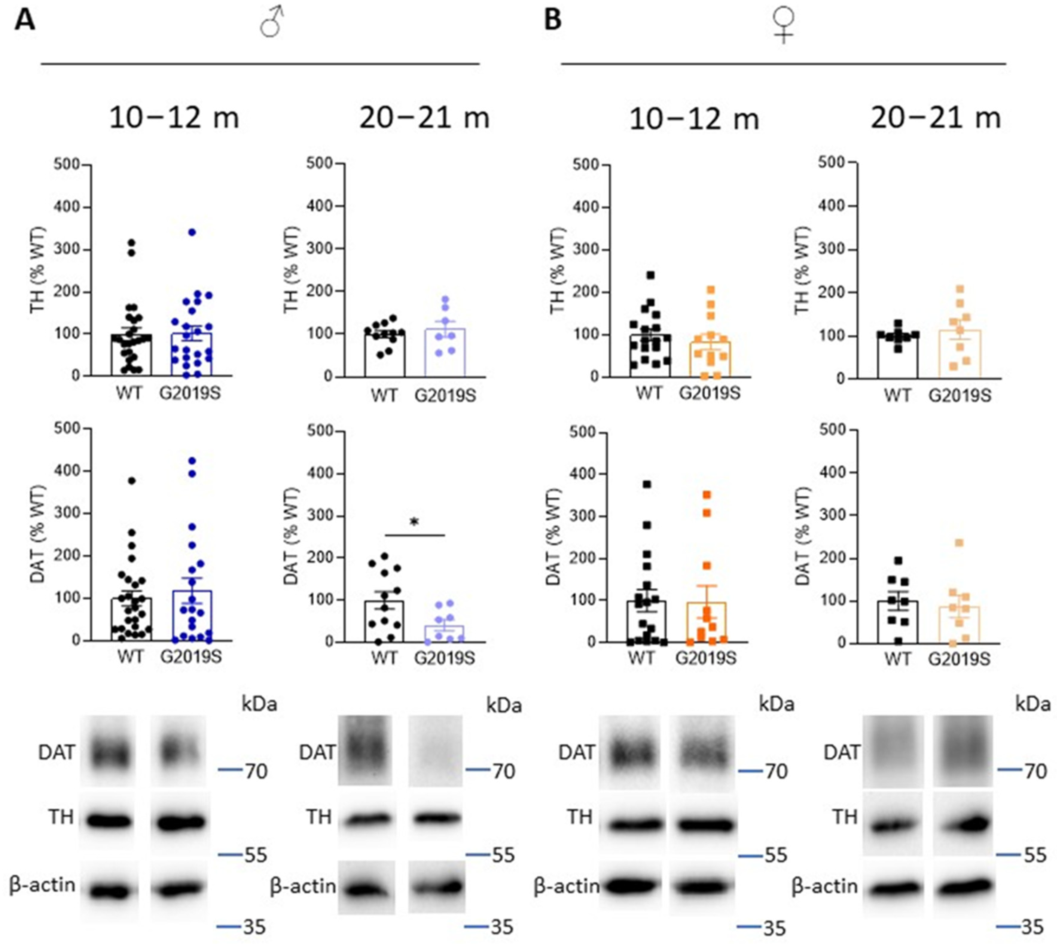 Biomolecules 13 00051 g003 Biomolecules 13 00051 g003