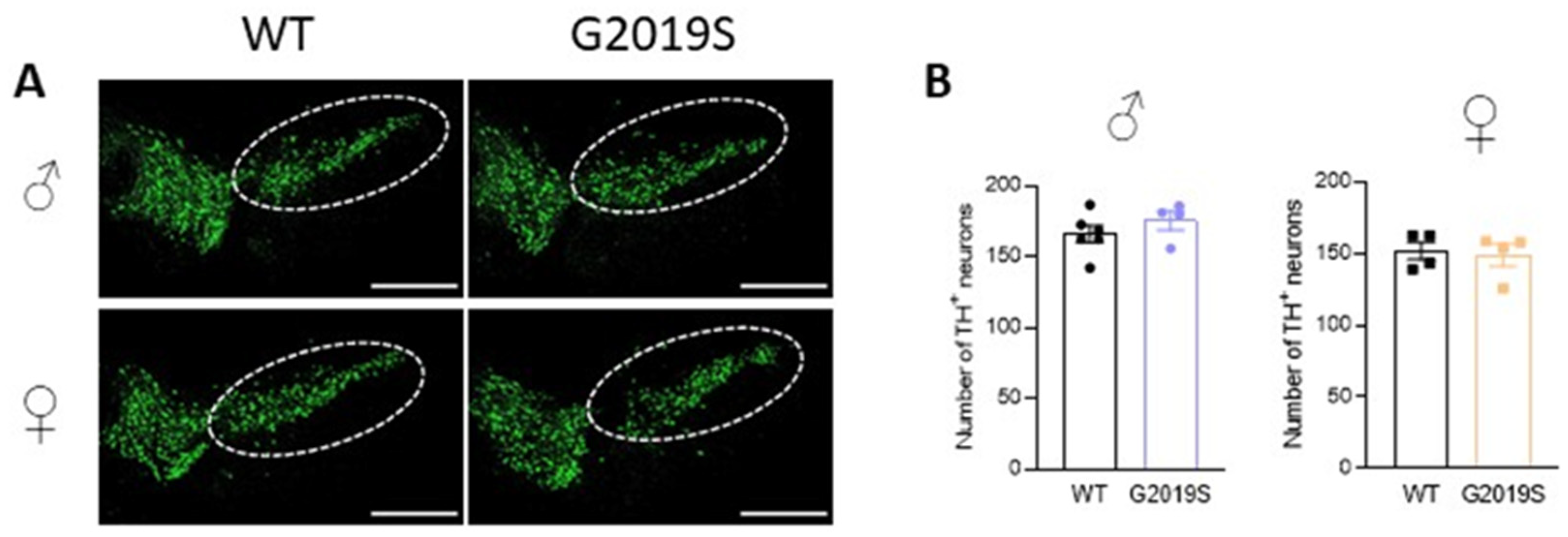 Biomolecules 13 00051 g004 Biomolecules 13 00051 g004