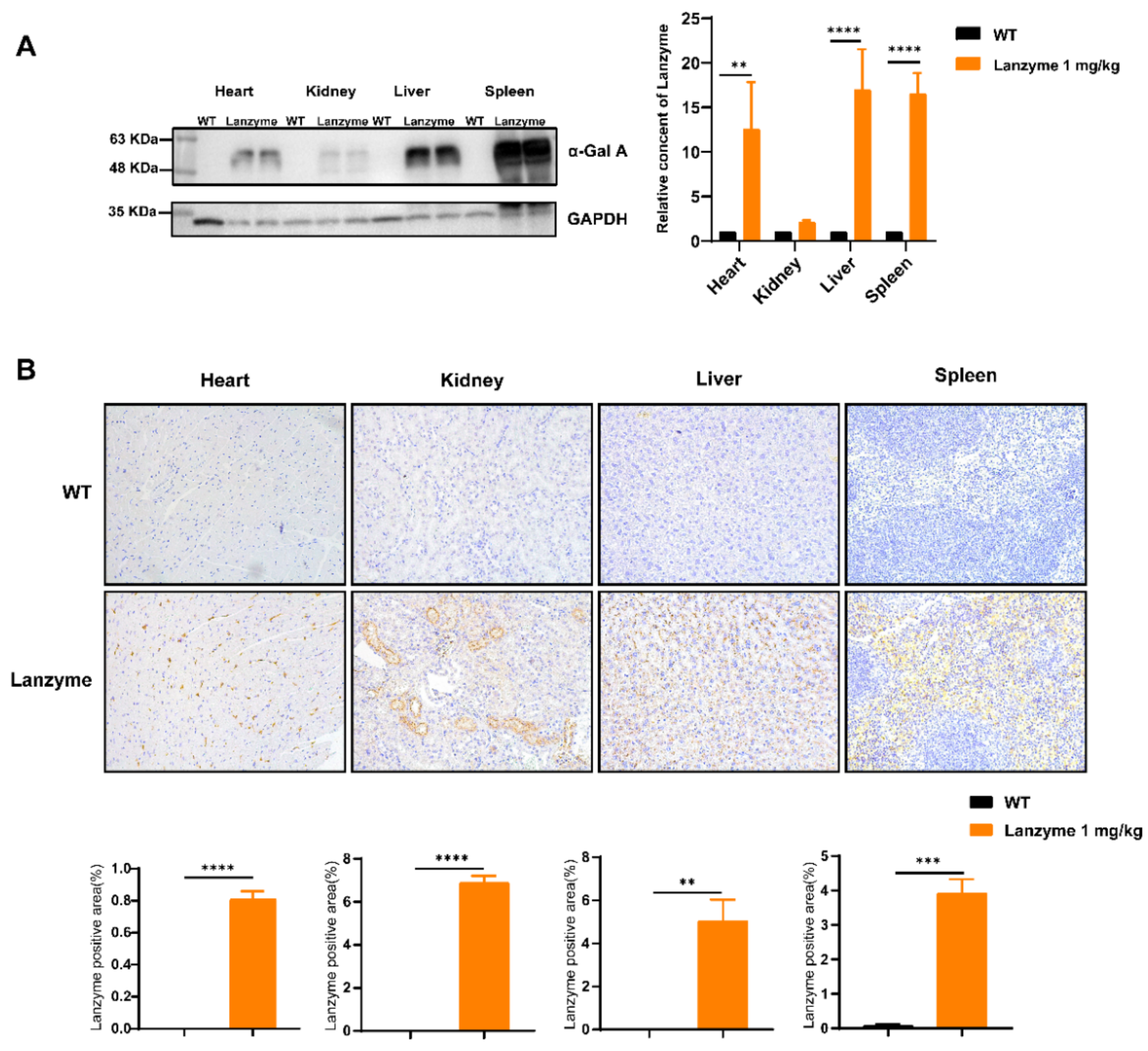 Biomolecules 13 00053 g003