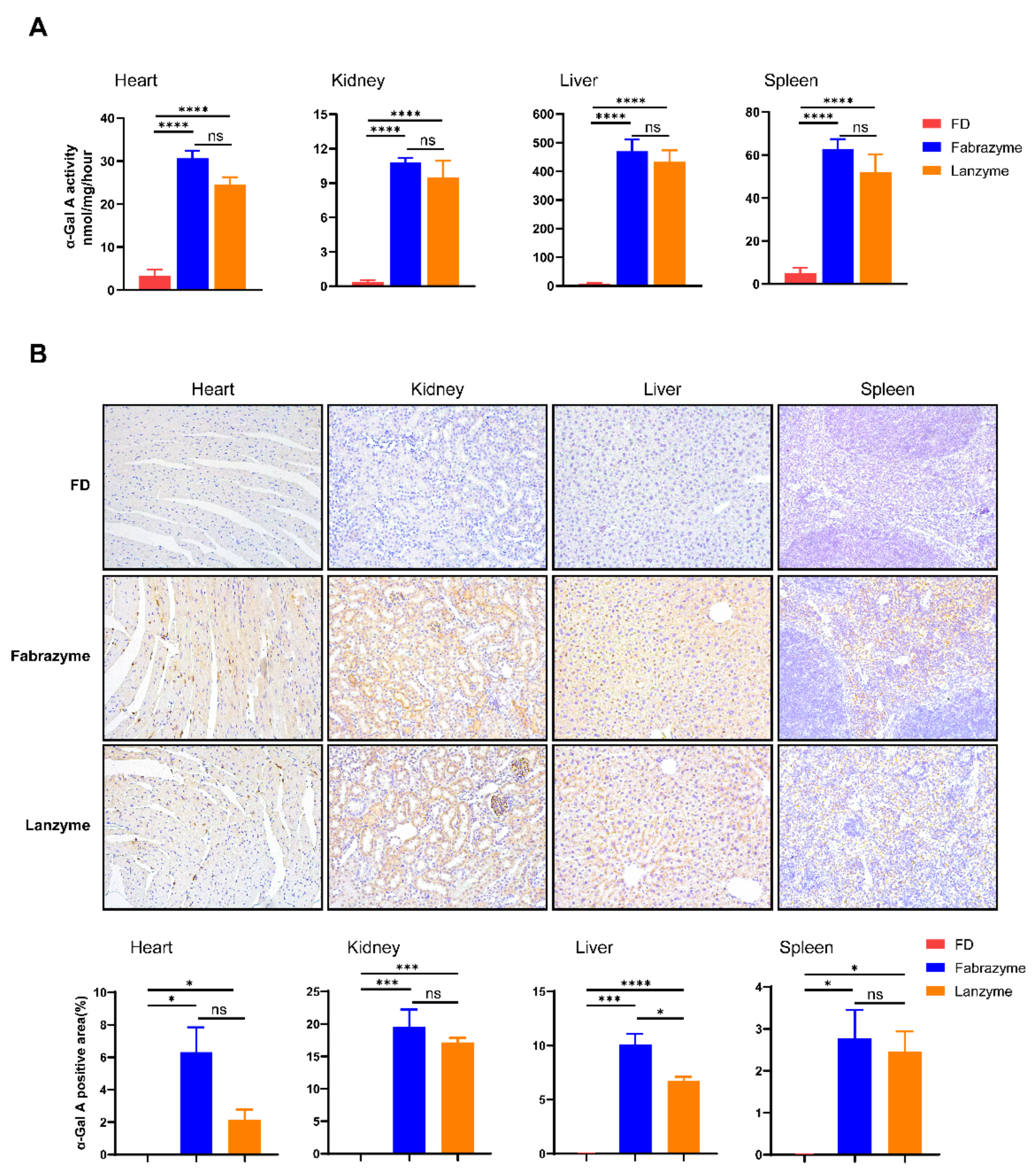 Biomolecules 13 00053 g004
