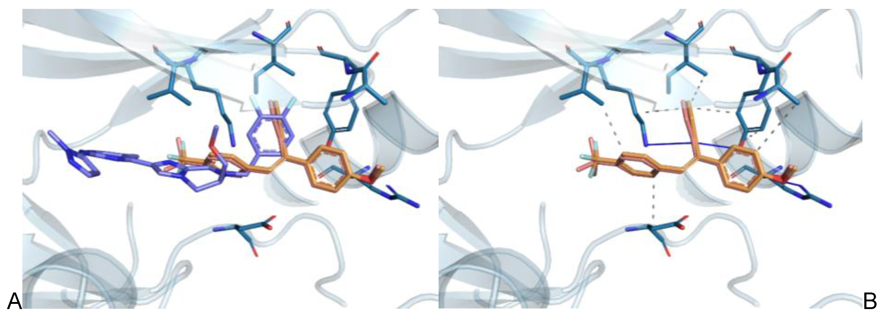 Biomolecules 13 00054 g011