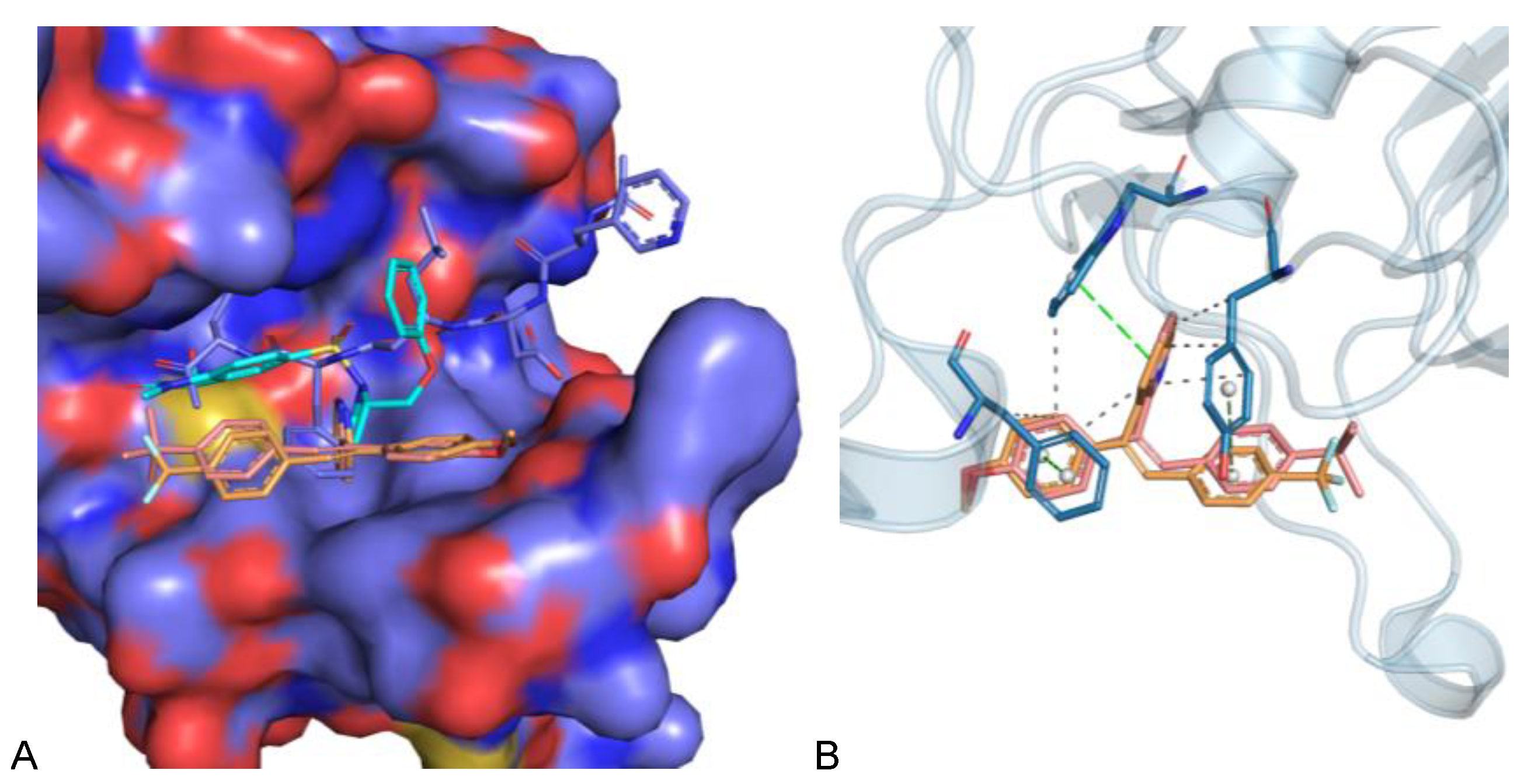 Biomolecules 13 00054 g013