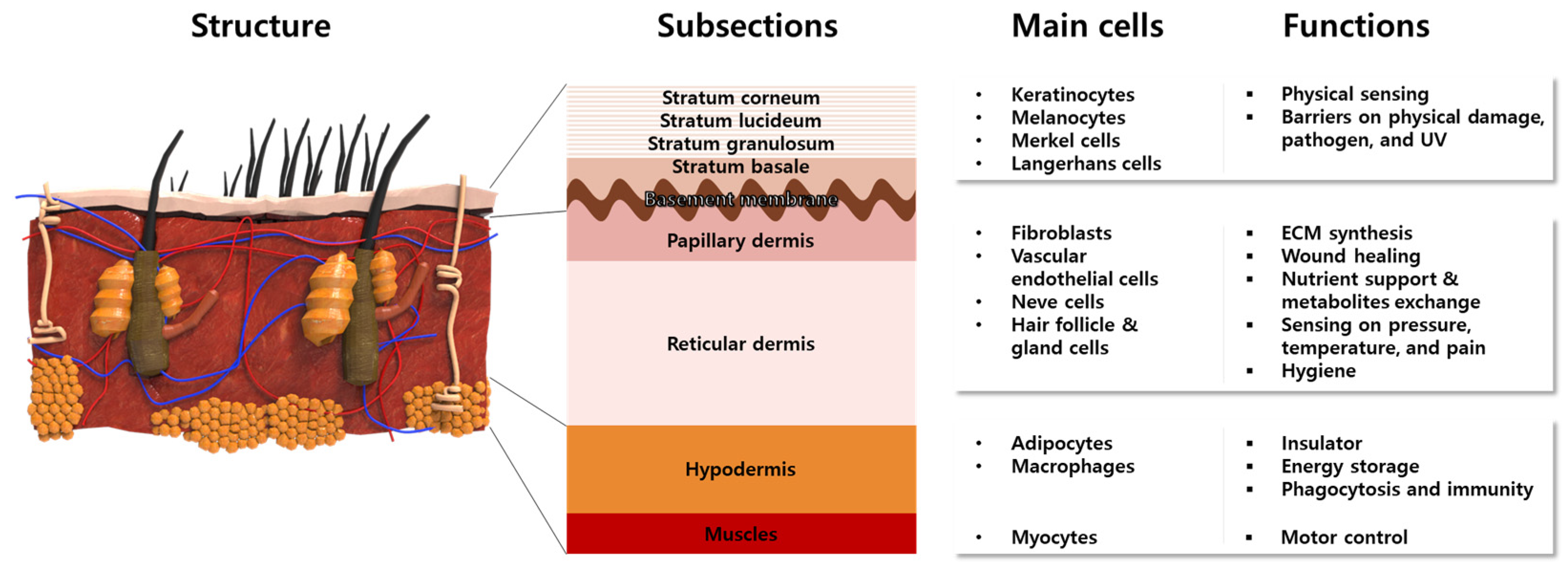 Biomolecules 13 00055 g002 Biomolecules 13 00055 g002