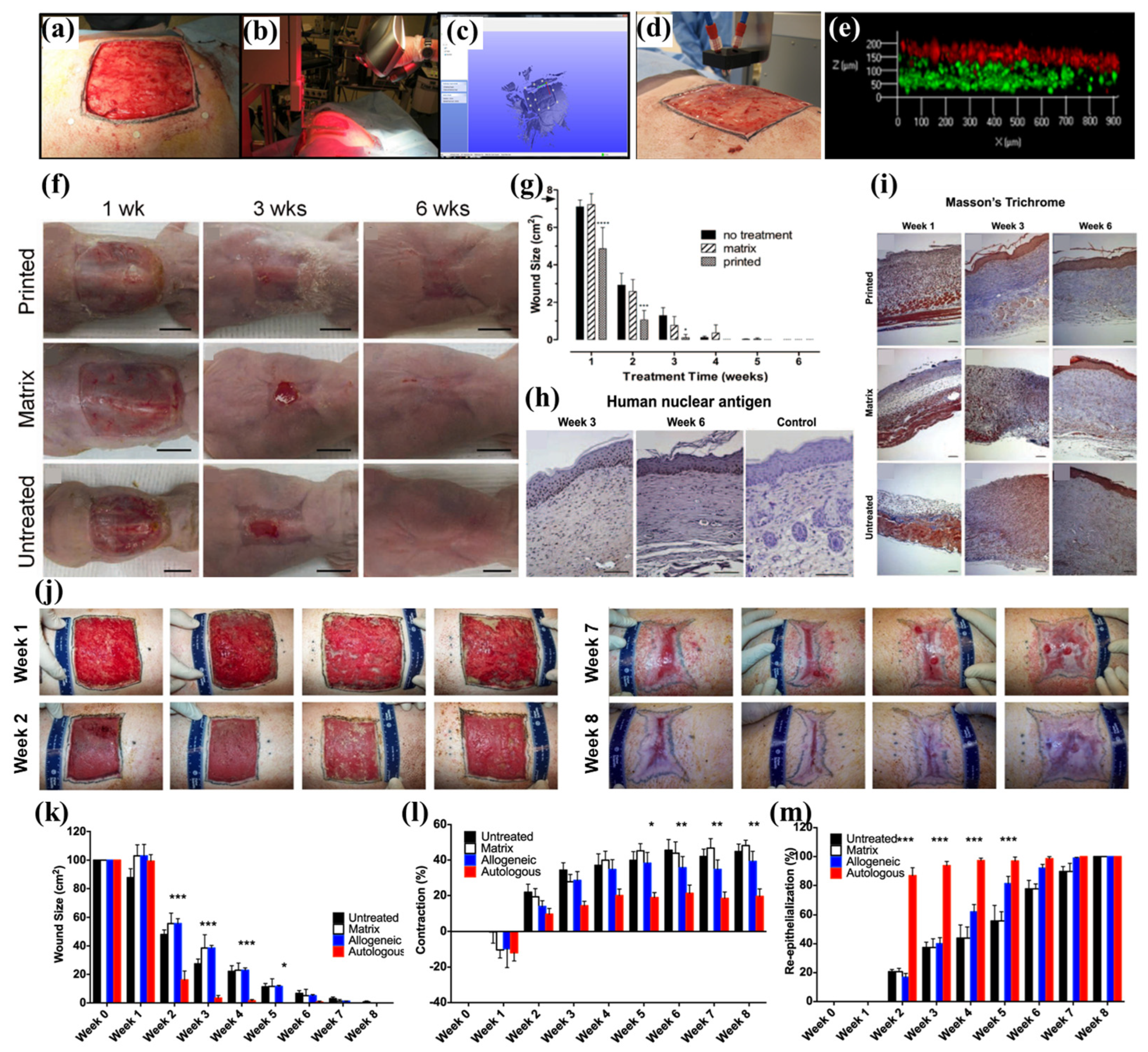 Biomolecules 13 00055 g006 Biomolecules 13 00055 g006