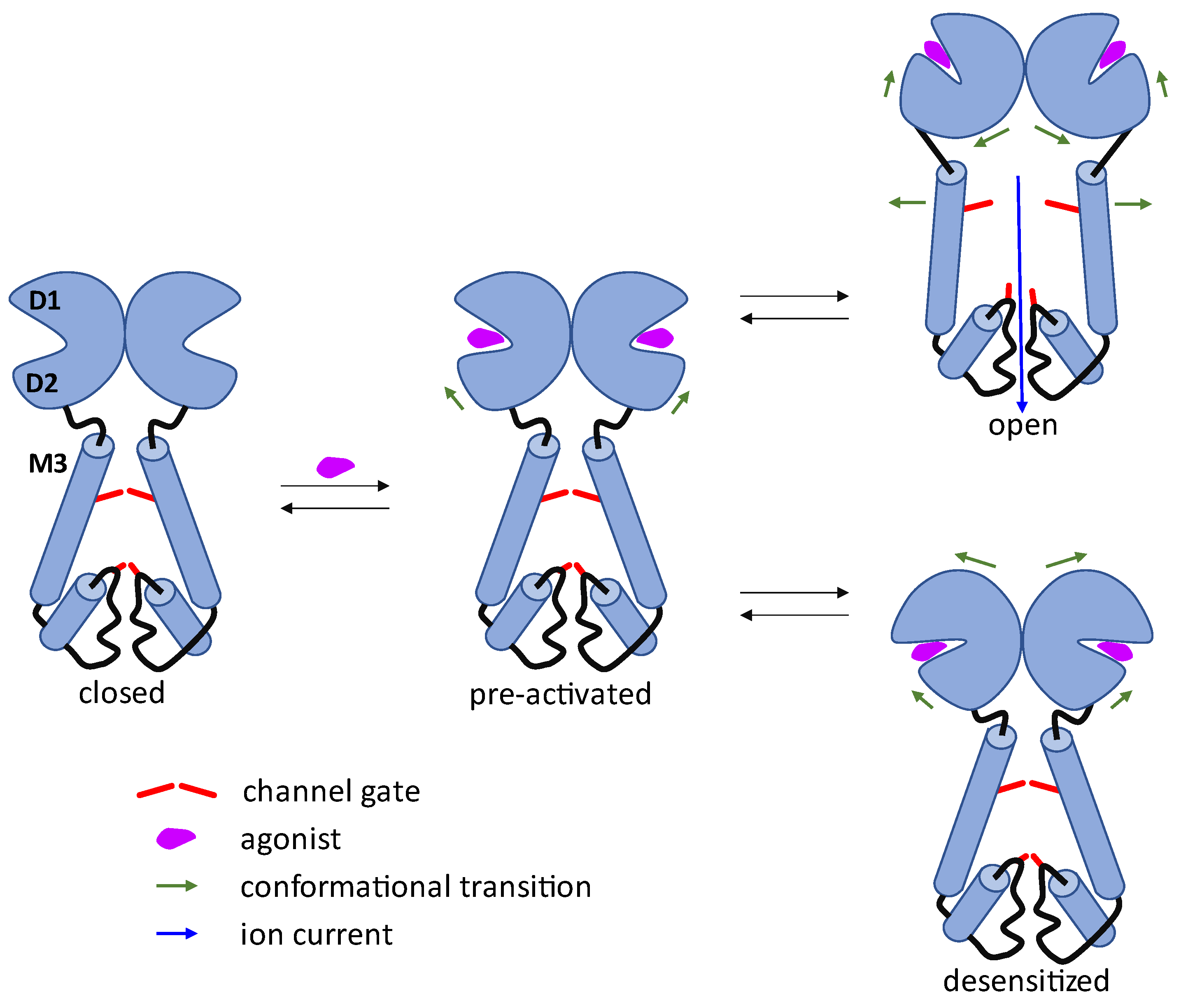 Biomolecules 13 00056 g002