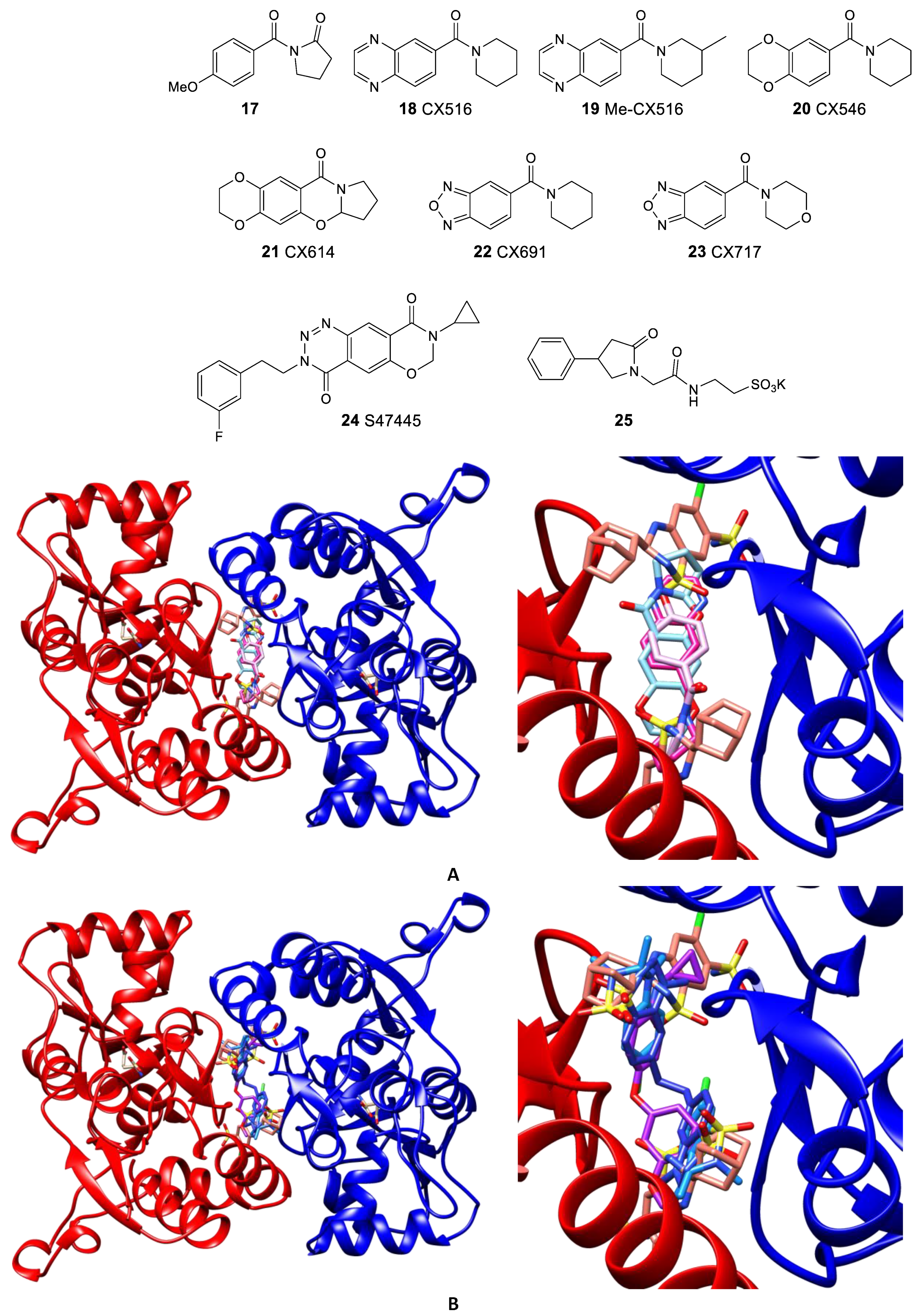 Biomolecules 13 00056 g006