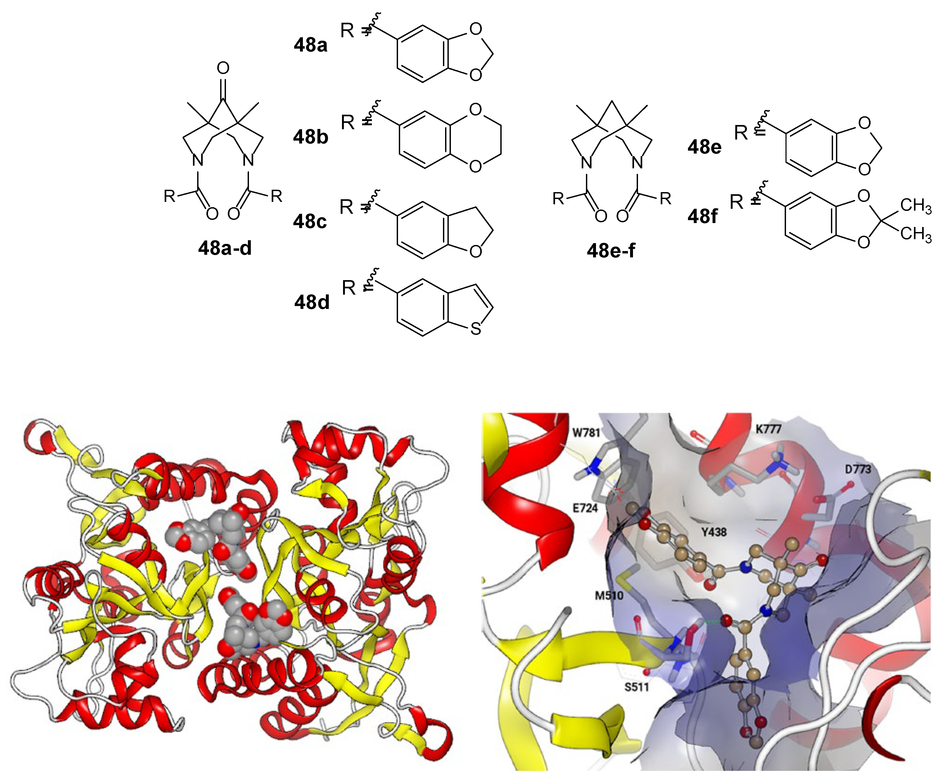 Biomolecules 13 00056 g008