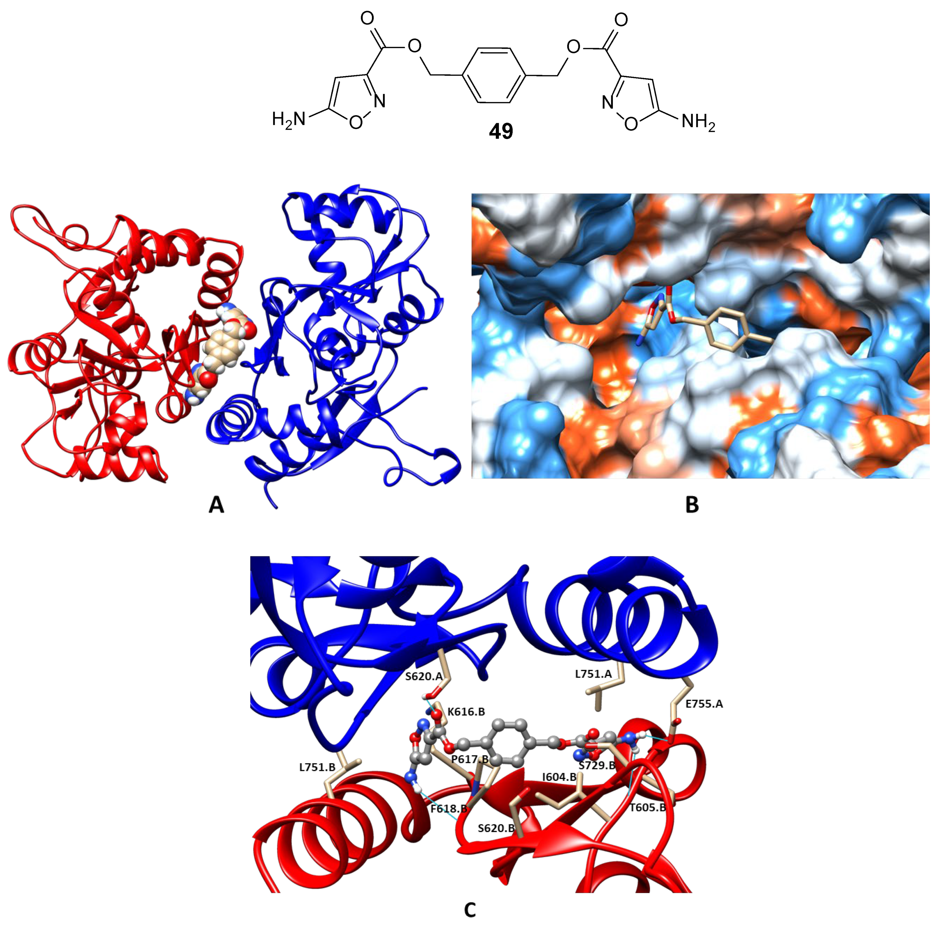 Biomolecules 13 00056 g009