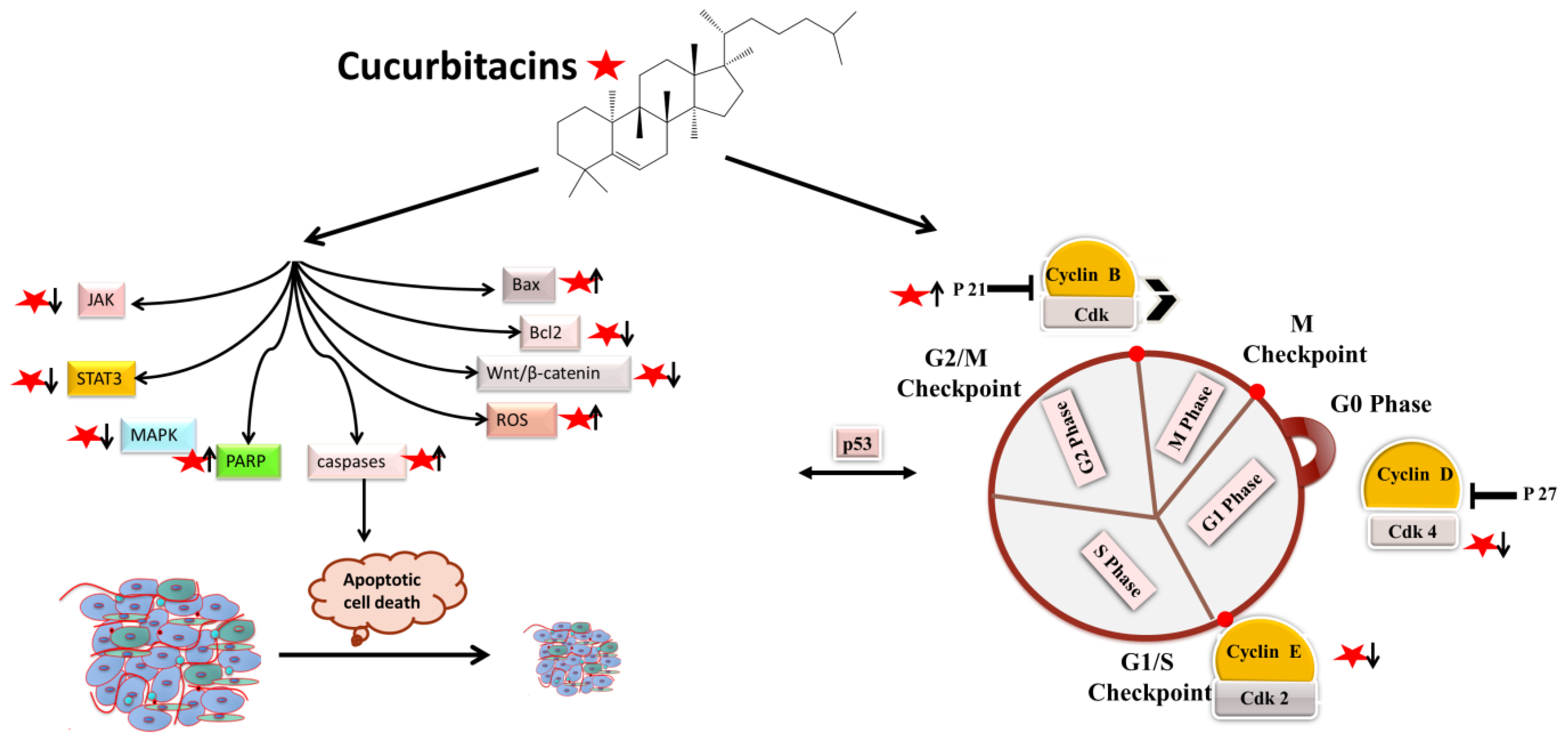 Biomolecules 13 00057 g002