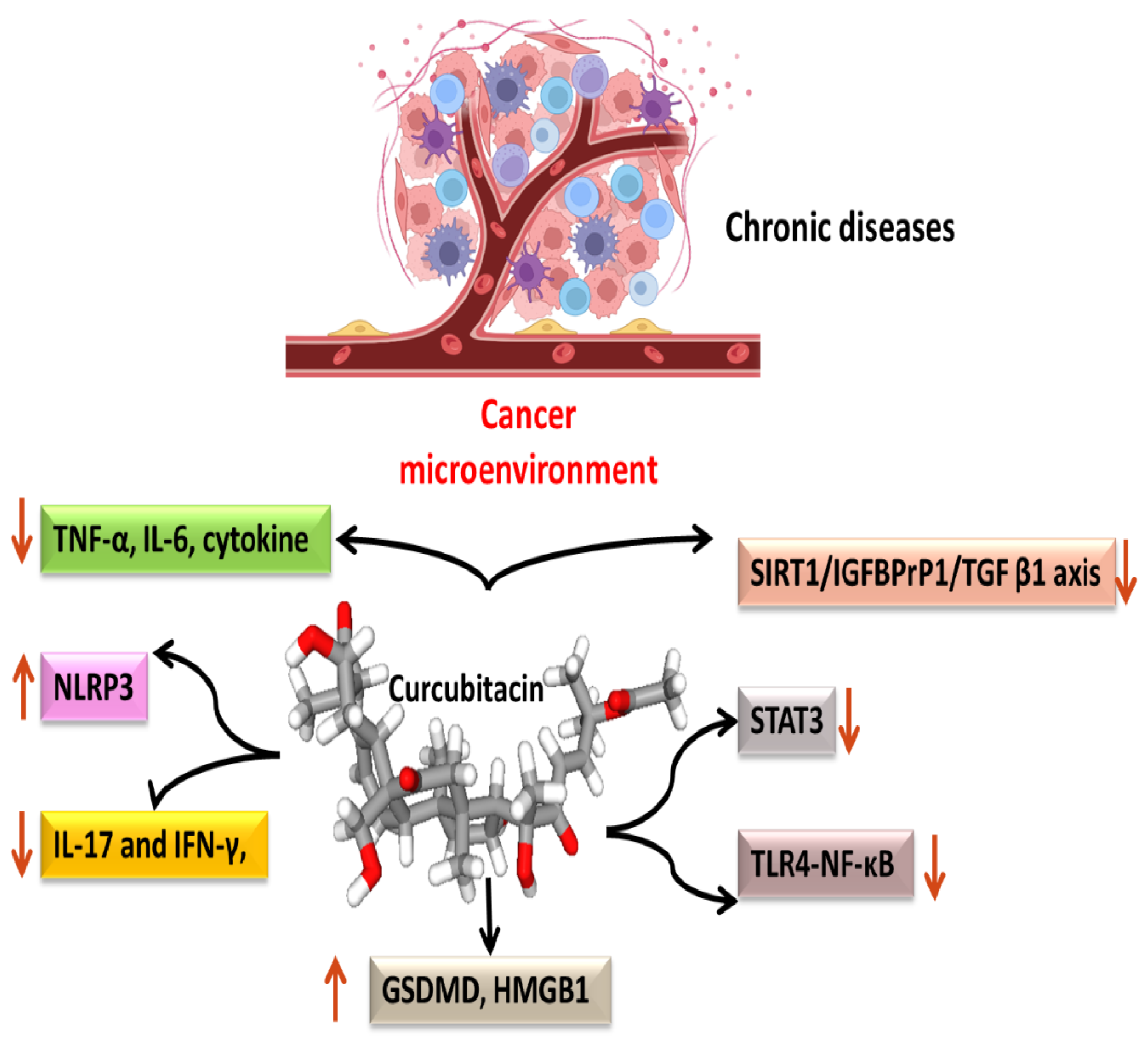 Biomolecules 13 00057 g004