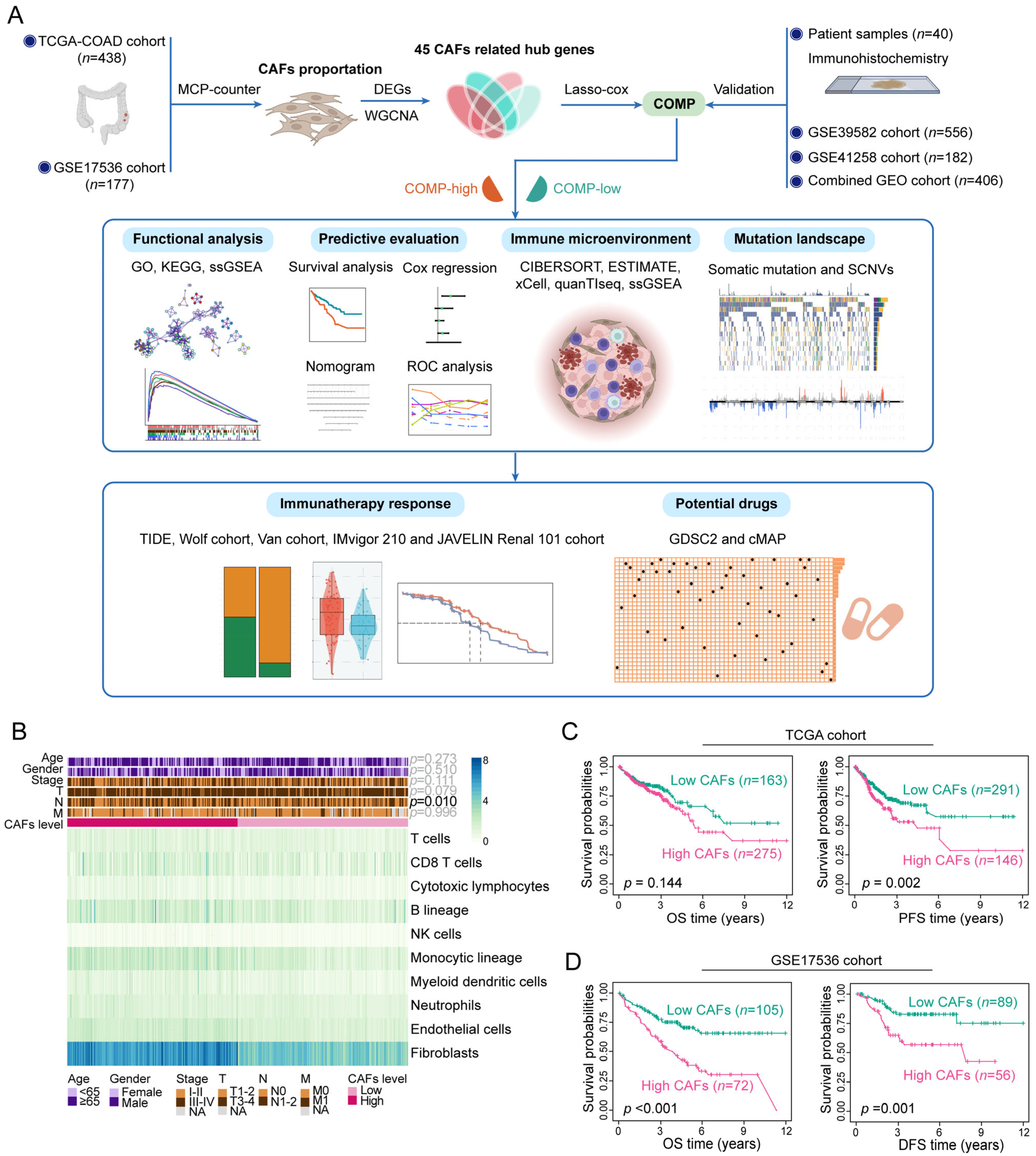 Biomolecules 13 00062 g001 Biomolecules 13 00062 g001