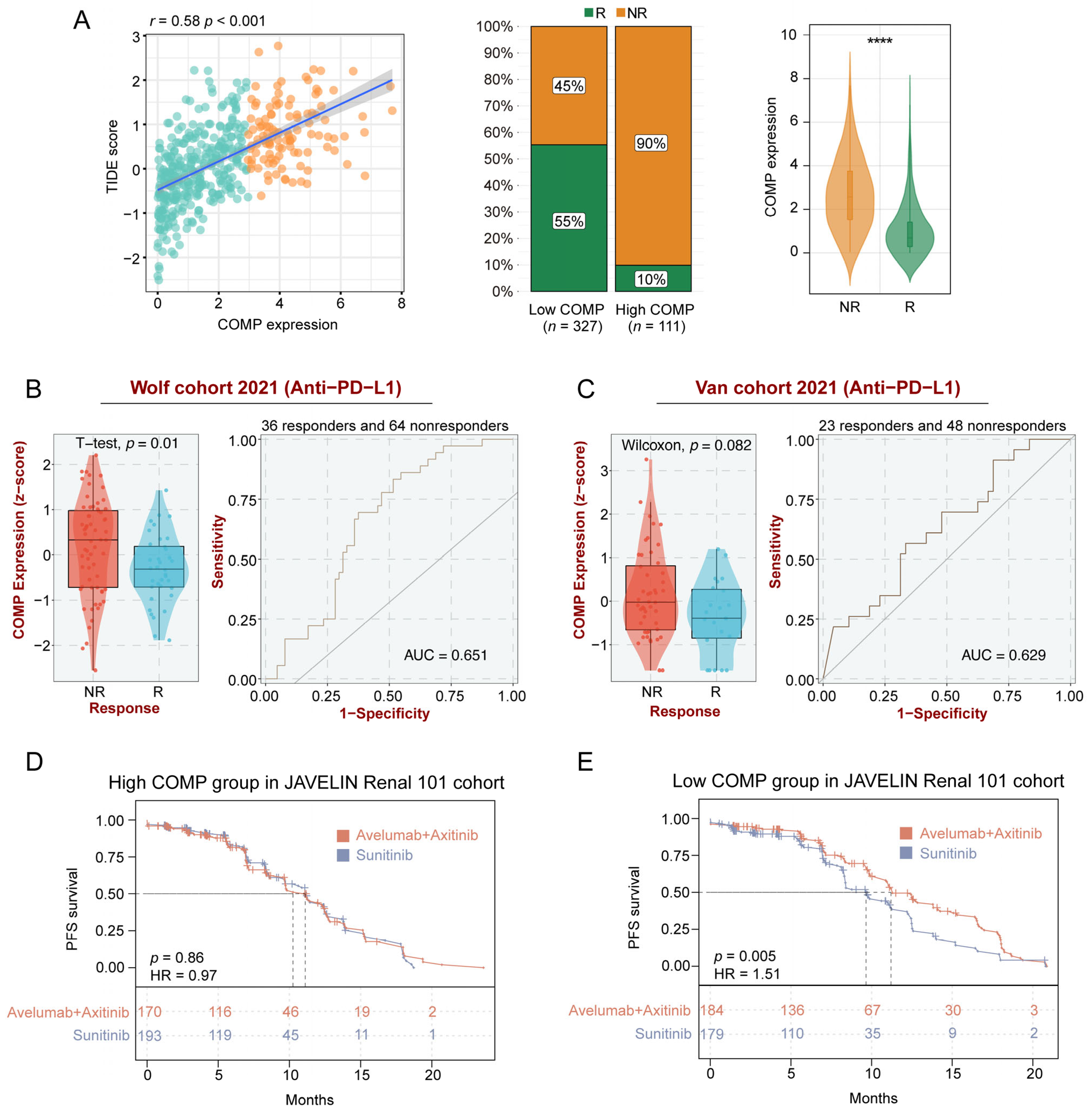 Biomolecules 13 00062 g006 Biomolecules 13 00062 g006
