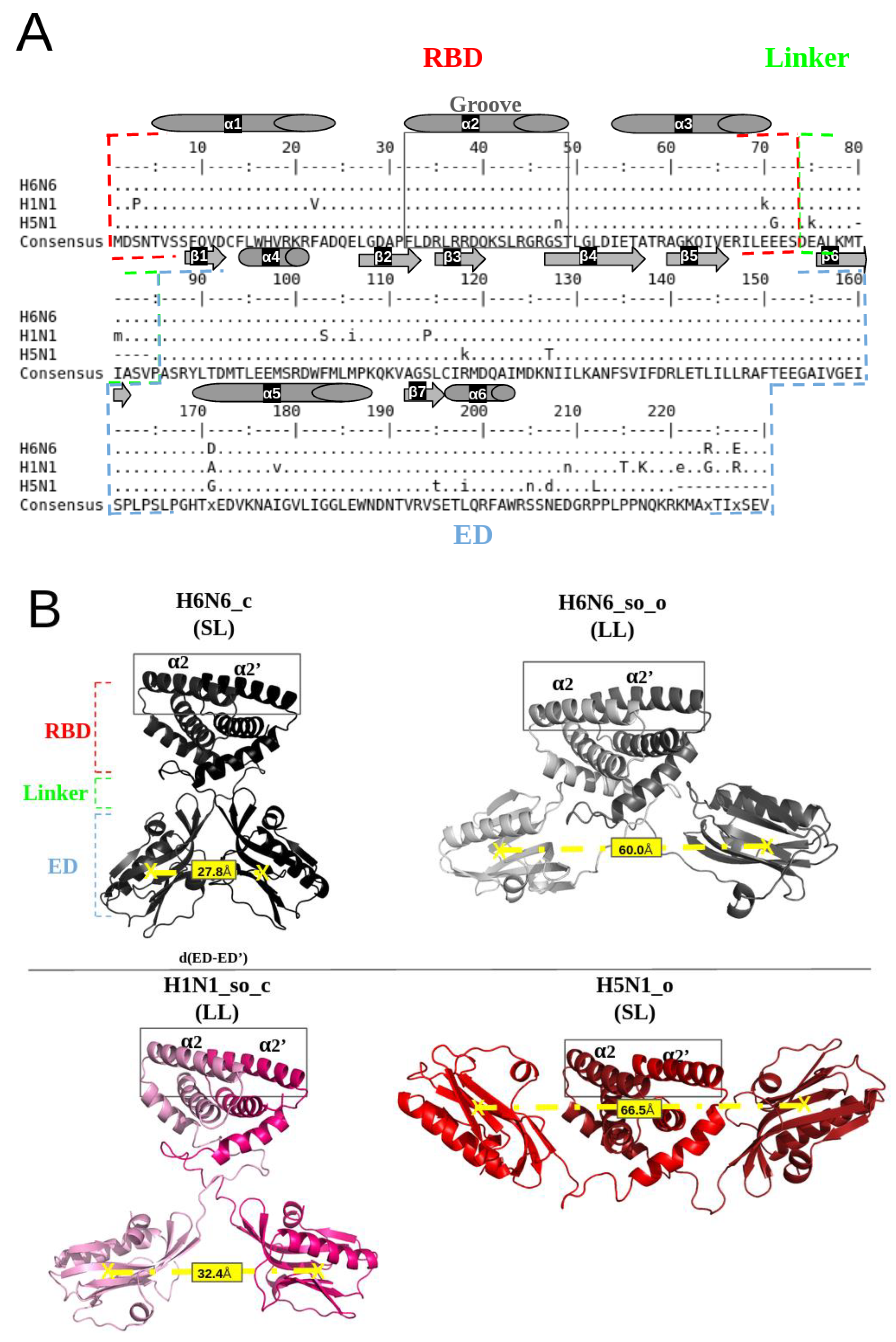 Biomolecules 13 00064 g001