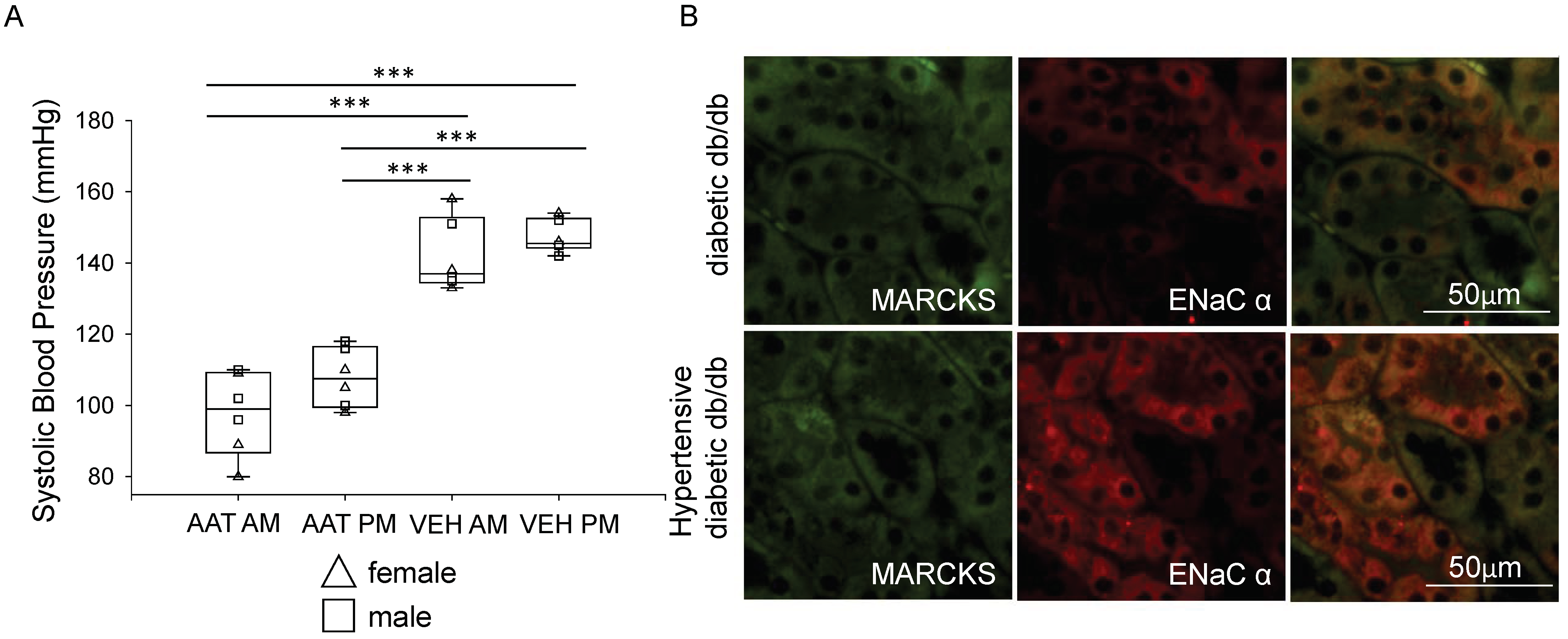 Biomolecules 13 00066 g003