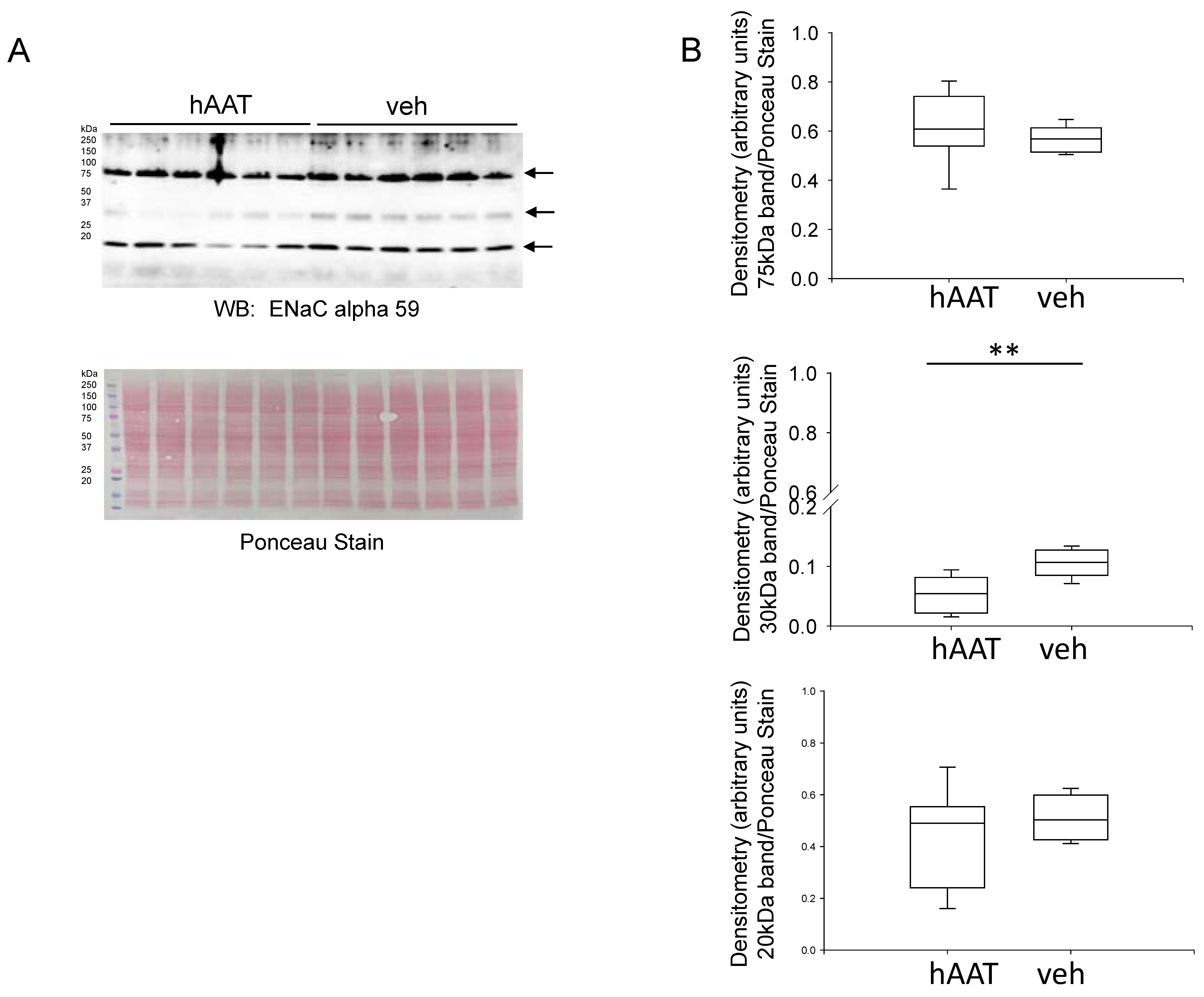 Biomolecules 13 00066 g004