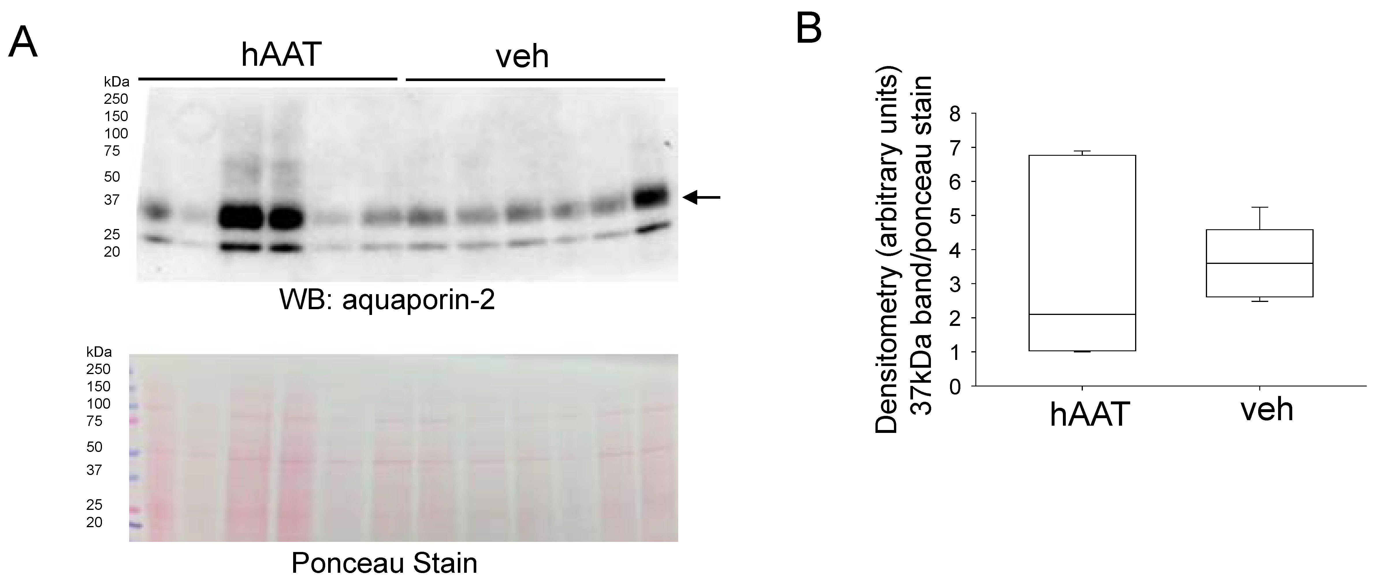 Biomolecules 13 00066 g007