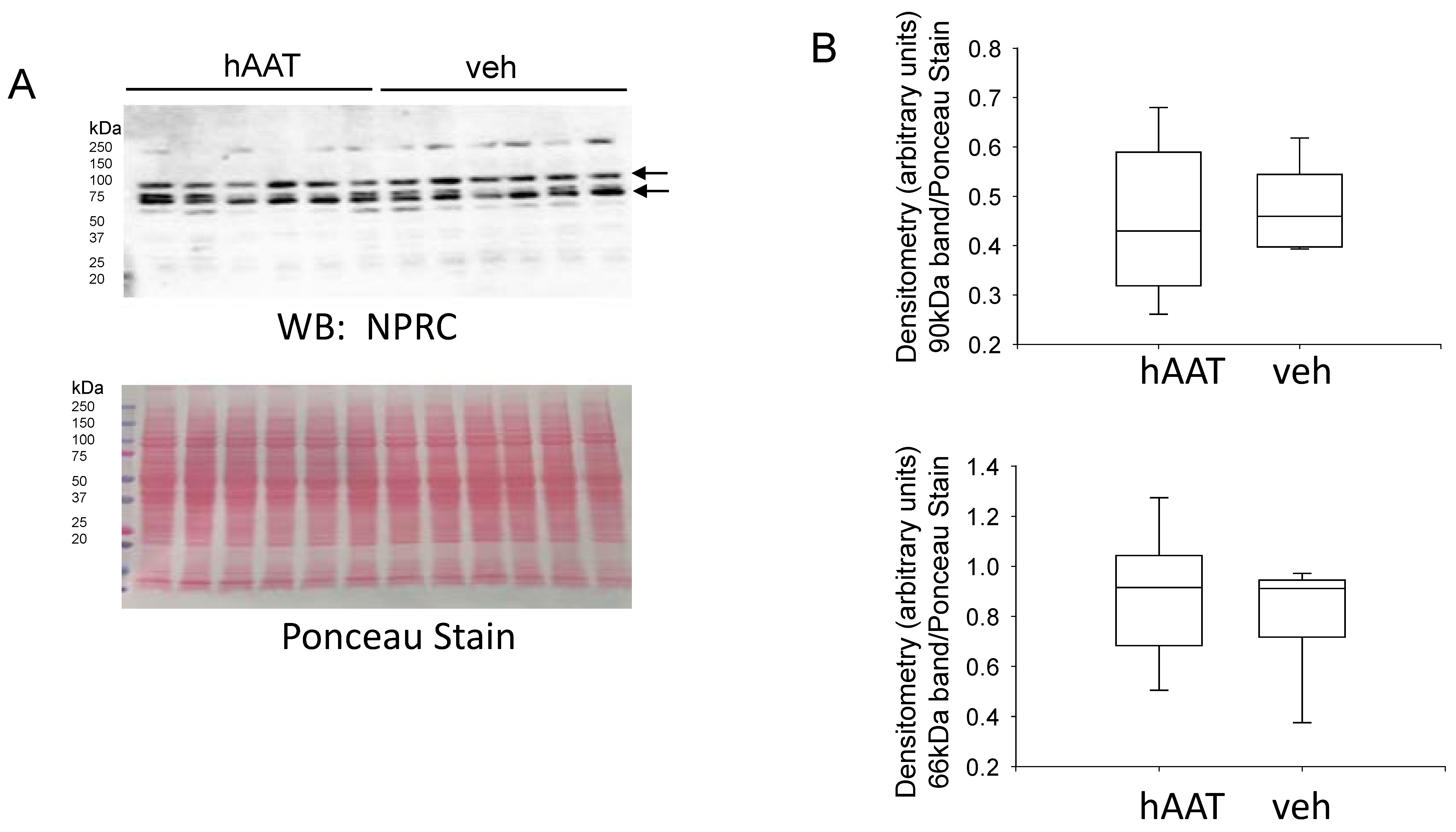 Biomolecules 13 00066 g008
