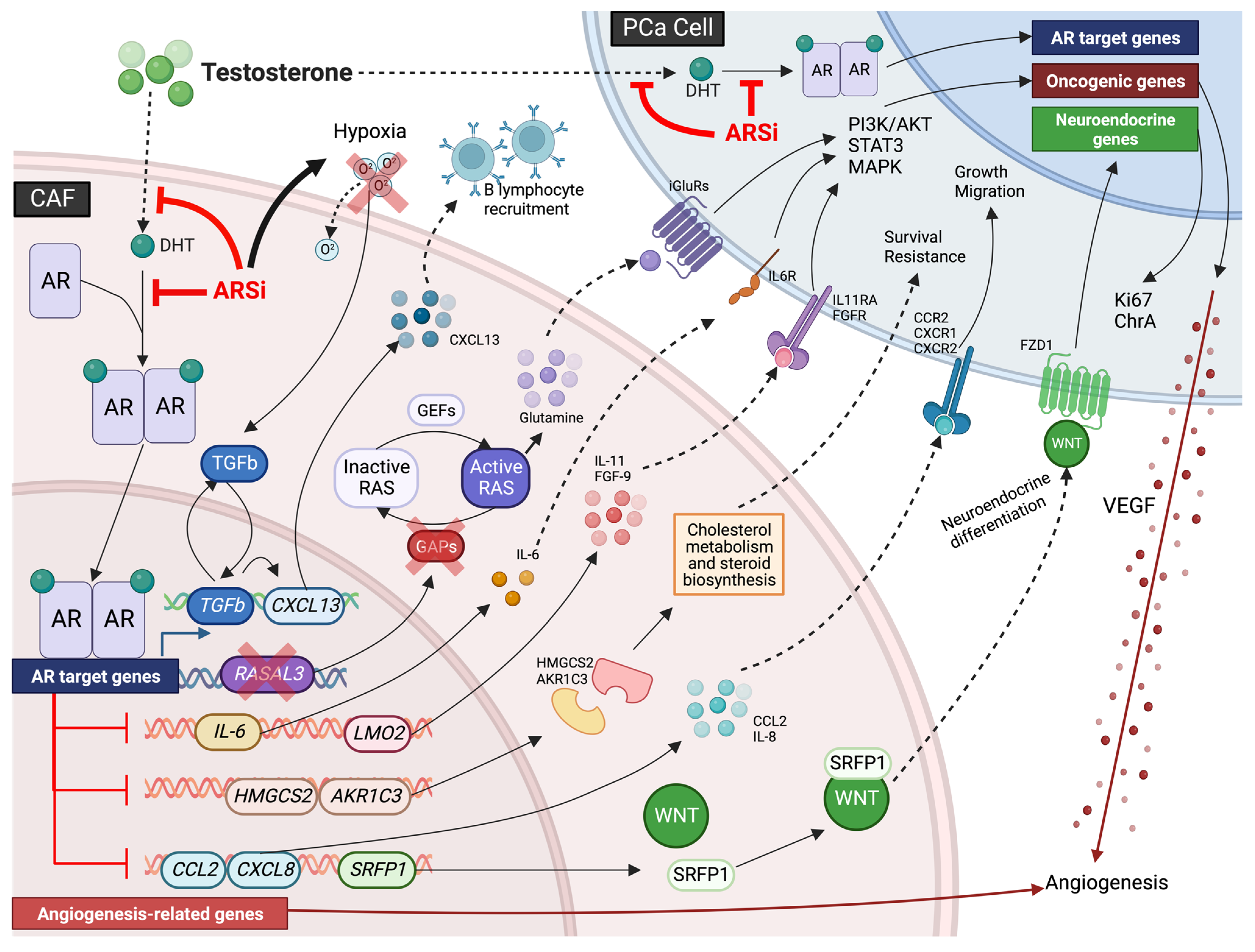 Biomolecules 13 00067 g001 Biomolecules 13 00067 g001