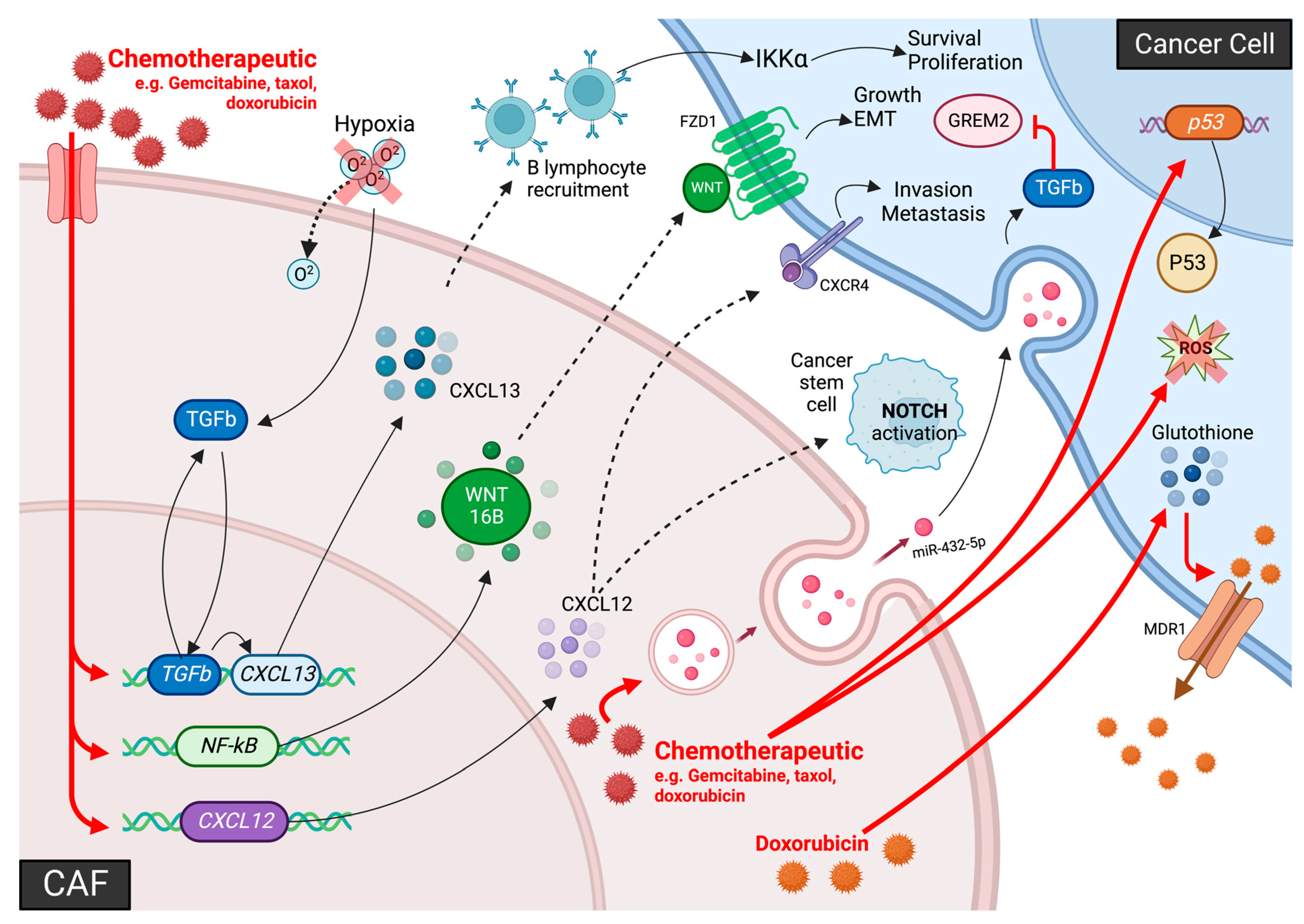 Biomolecules 13 00067 g002 Biomolecules 13 00067 g002