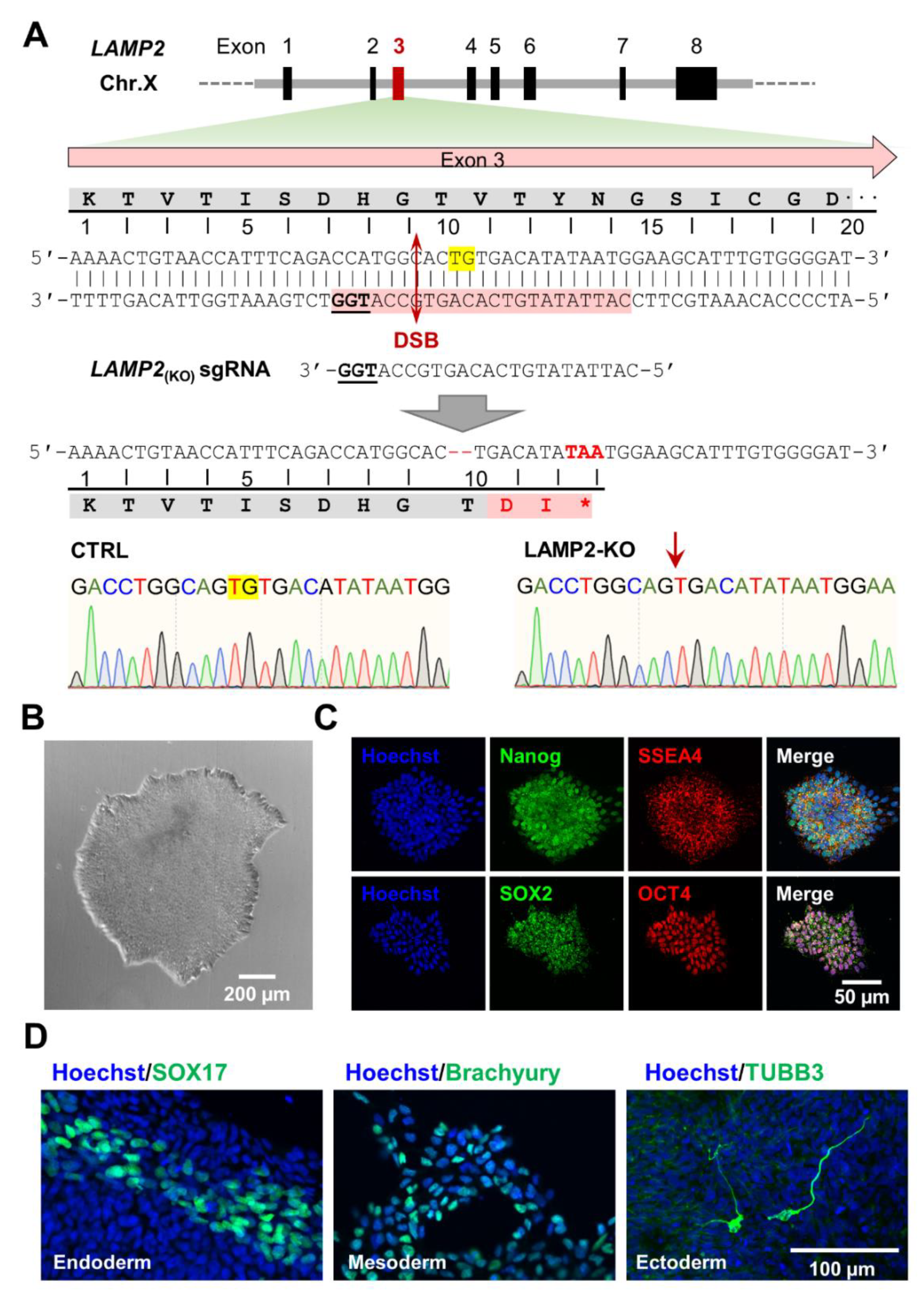 Biomolecules 13 00069 g001