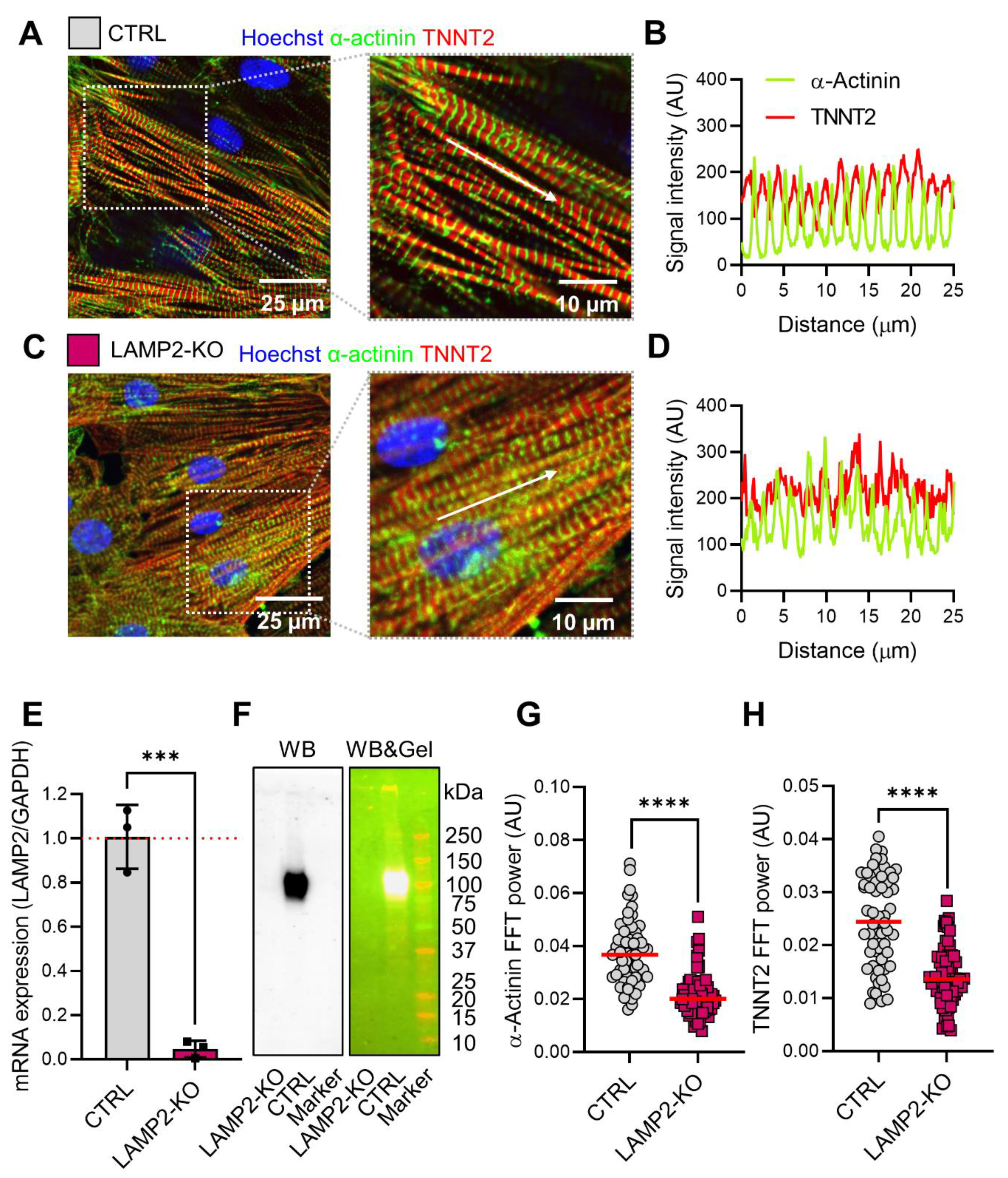 Biomolecules 13 00069 g002