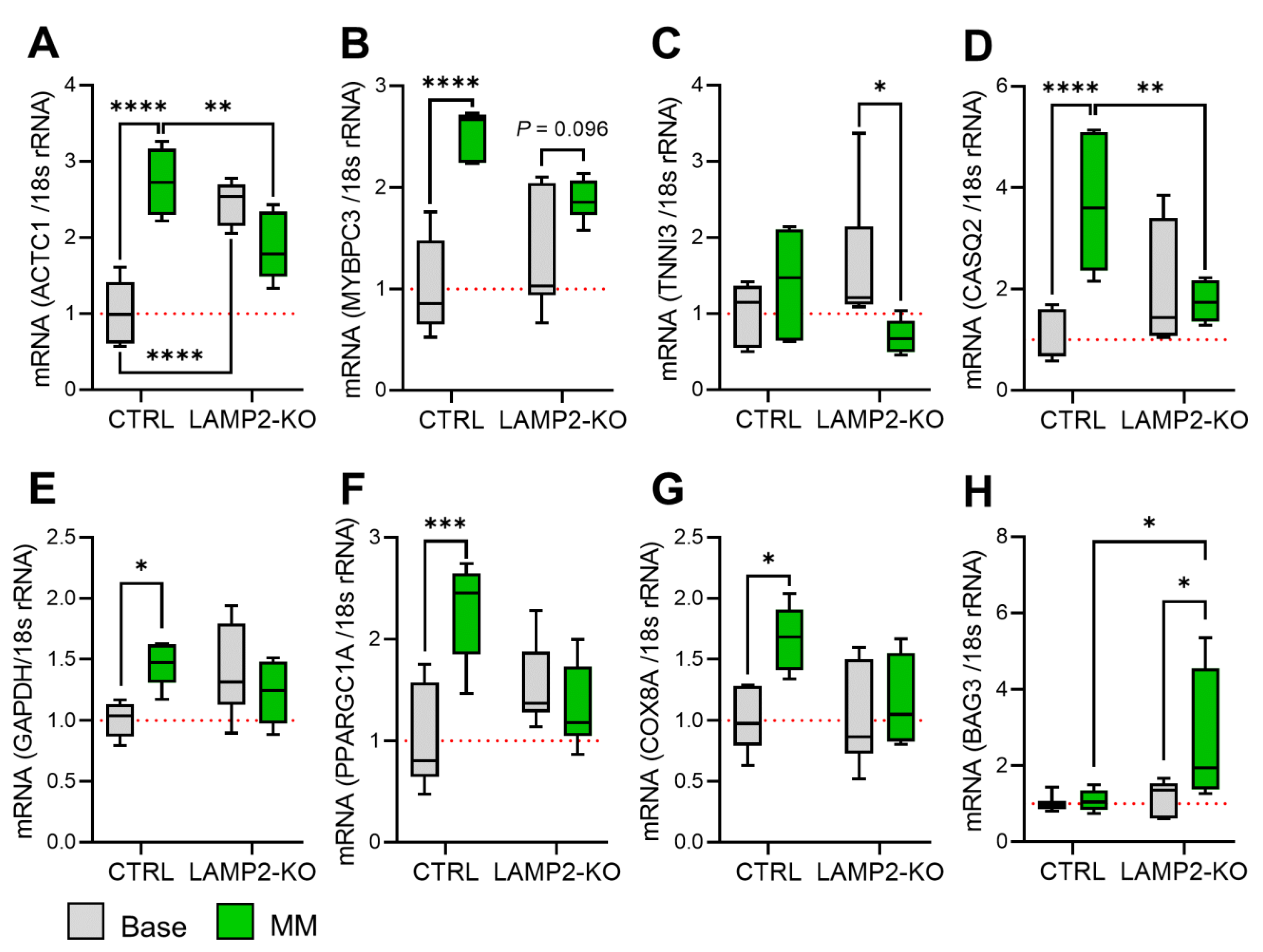 Biomolecules 13 00069 g005