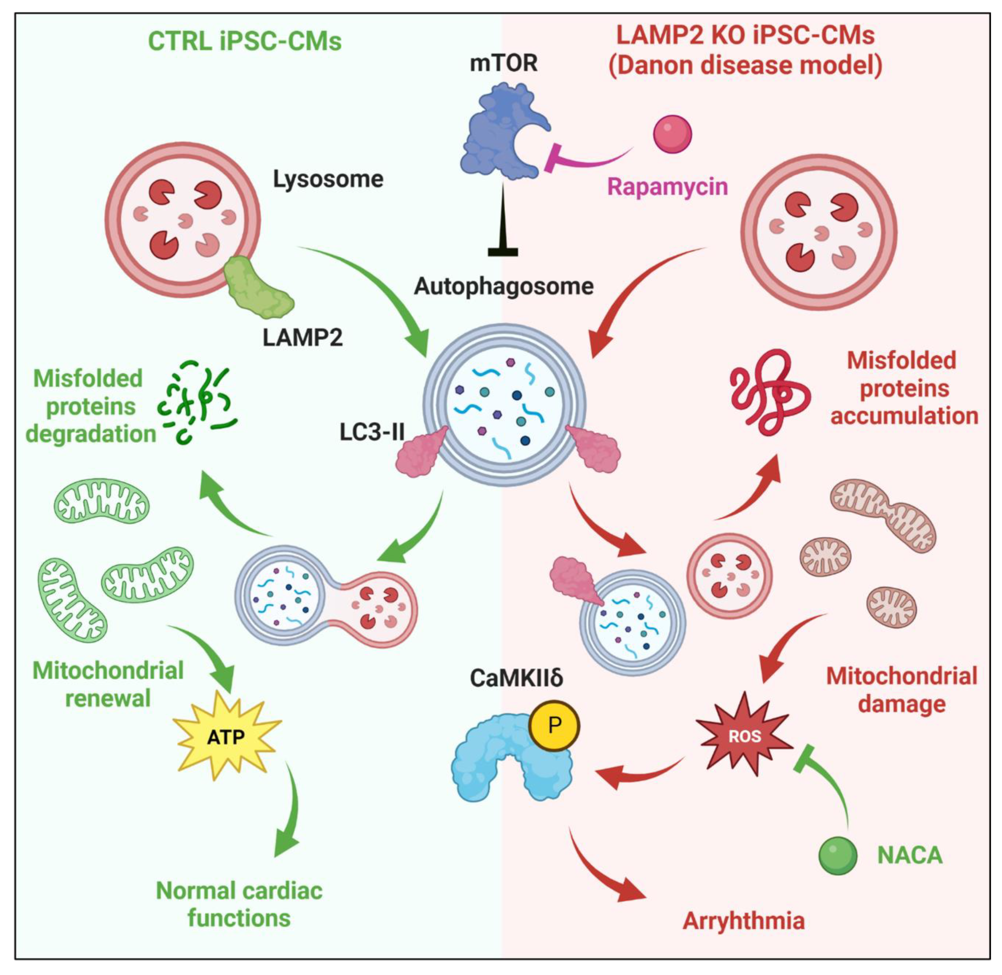 Biomolecules 13 00069 g008