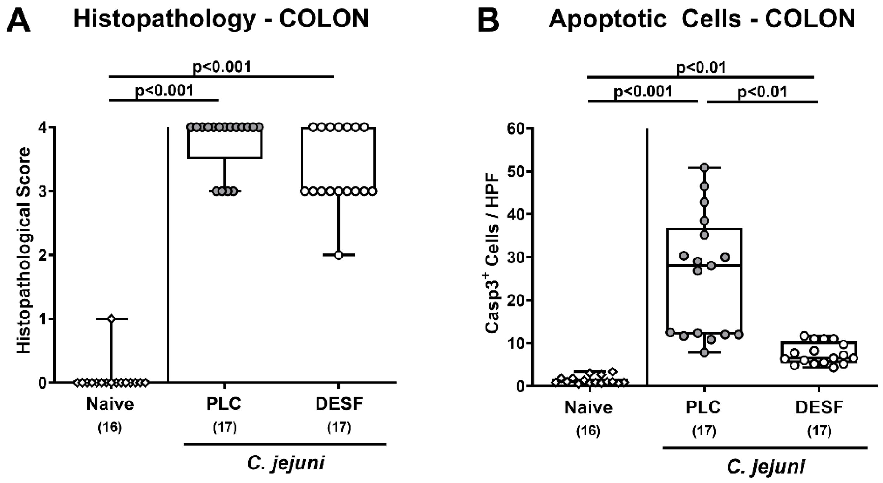 Biomolecules 13 00071 g003