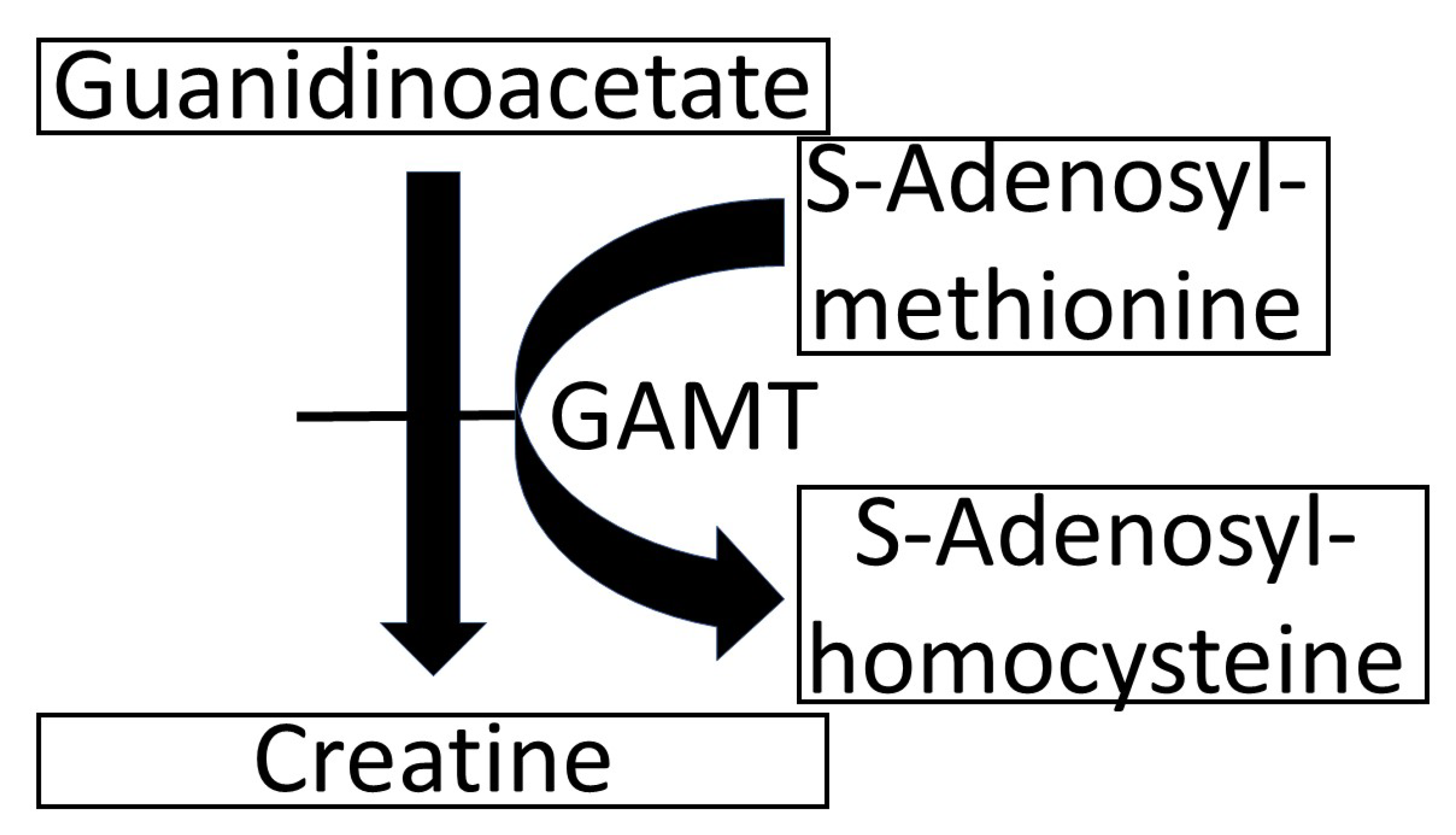 Biomolecules 13 00074 g001