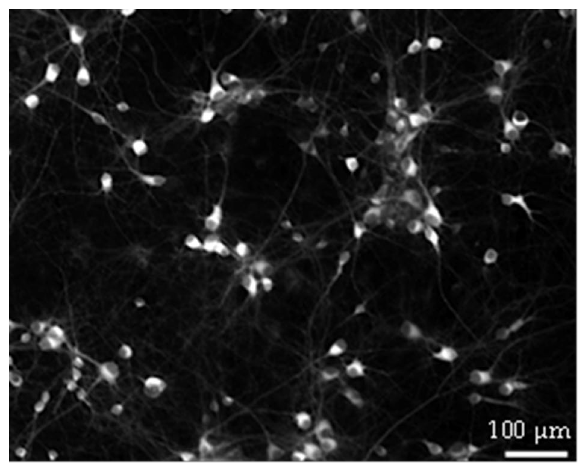 Biomolecules 13 00074 g007
