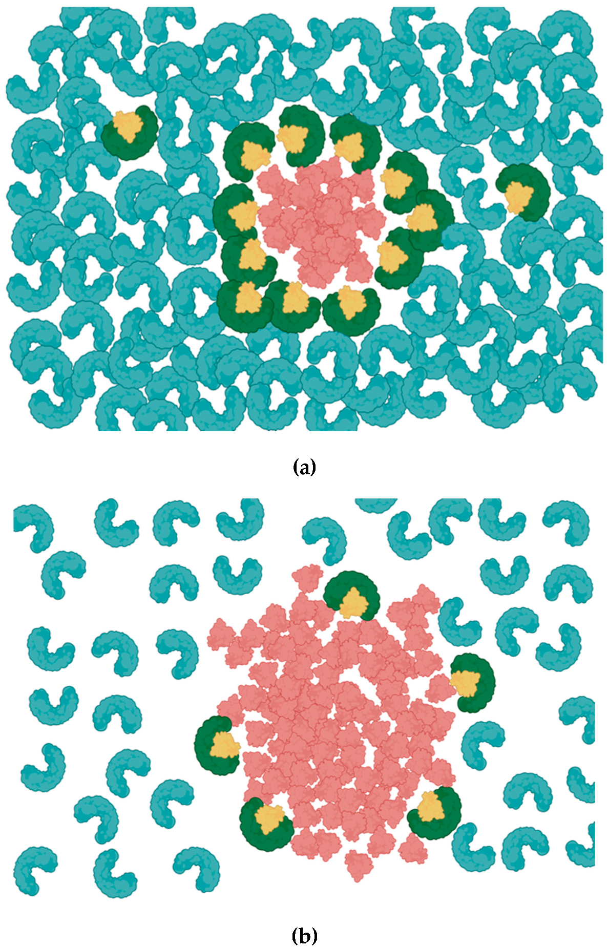 Biomolecules 13 00082 g001