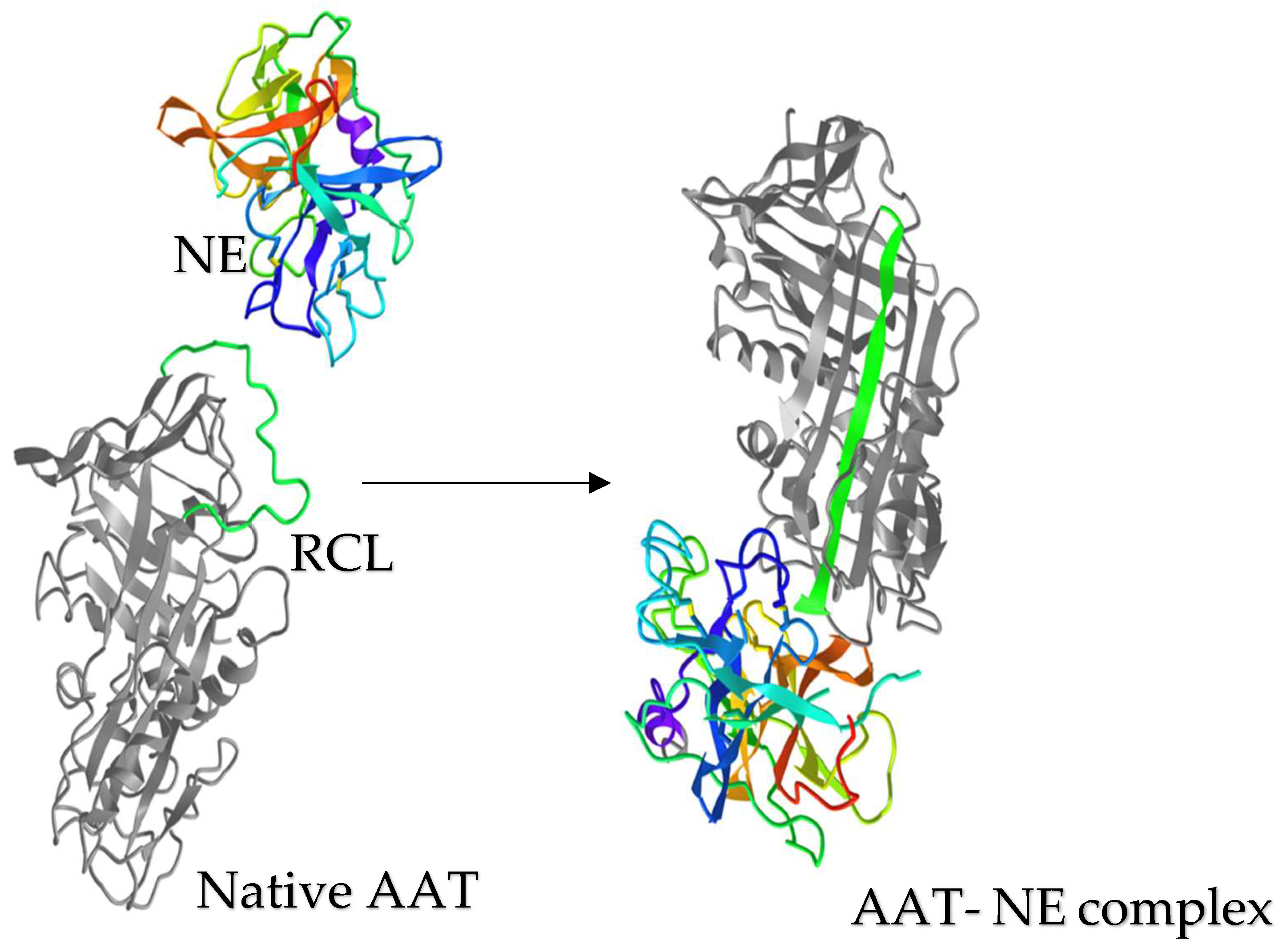 Biomolecules 13 00082 g002