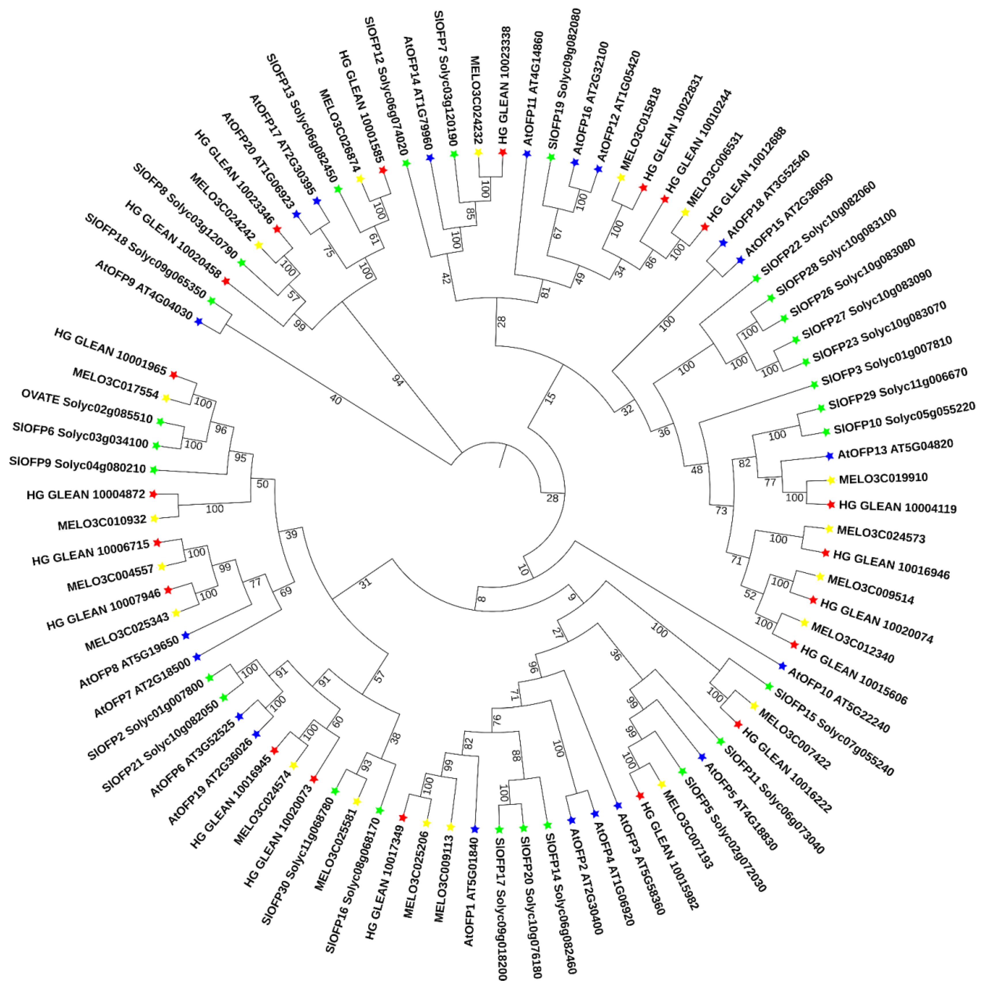 Biomolecules 13 00085 g001