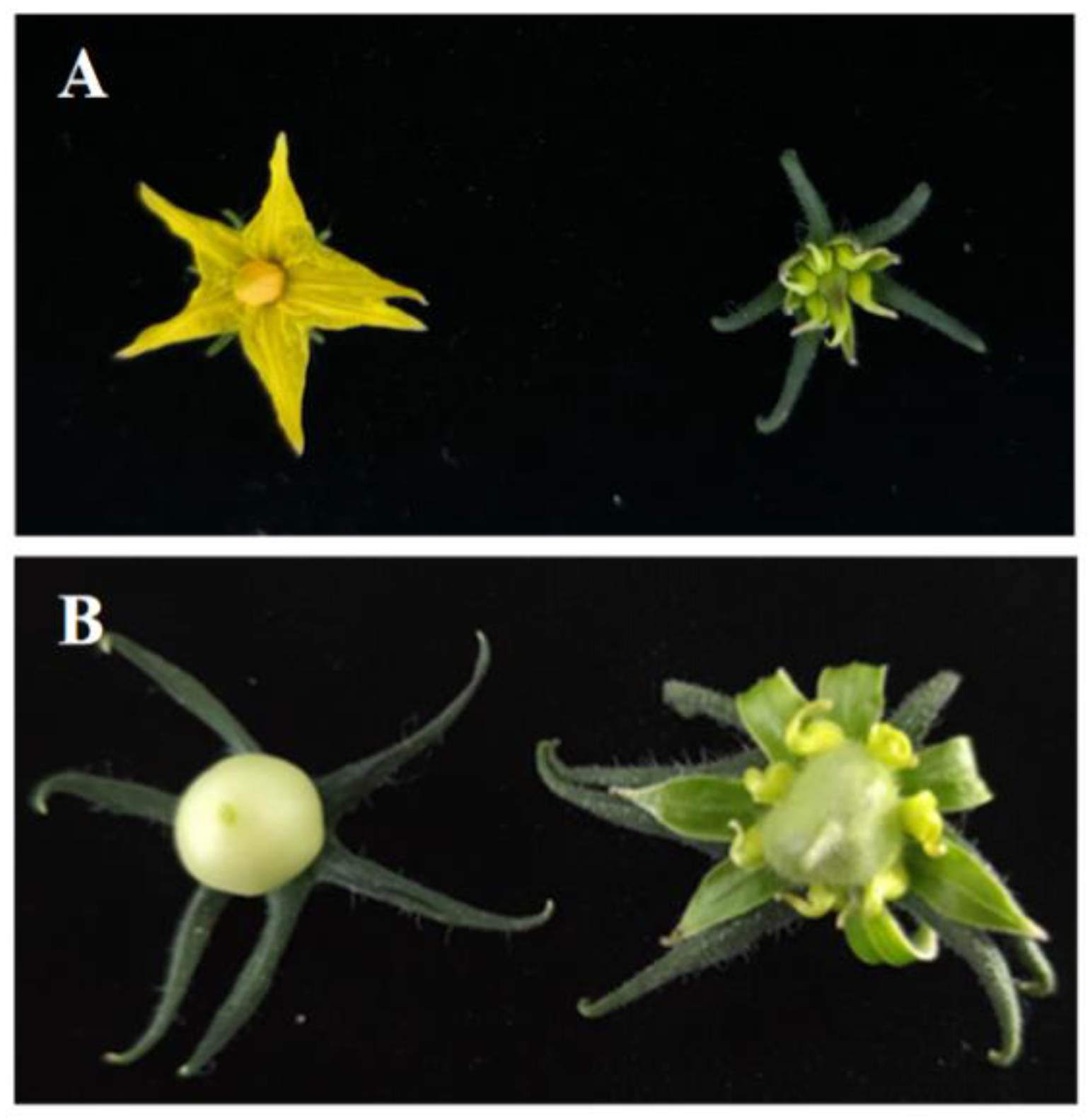 Biomolecules 13 00085 g008