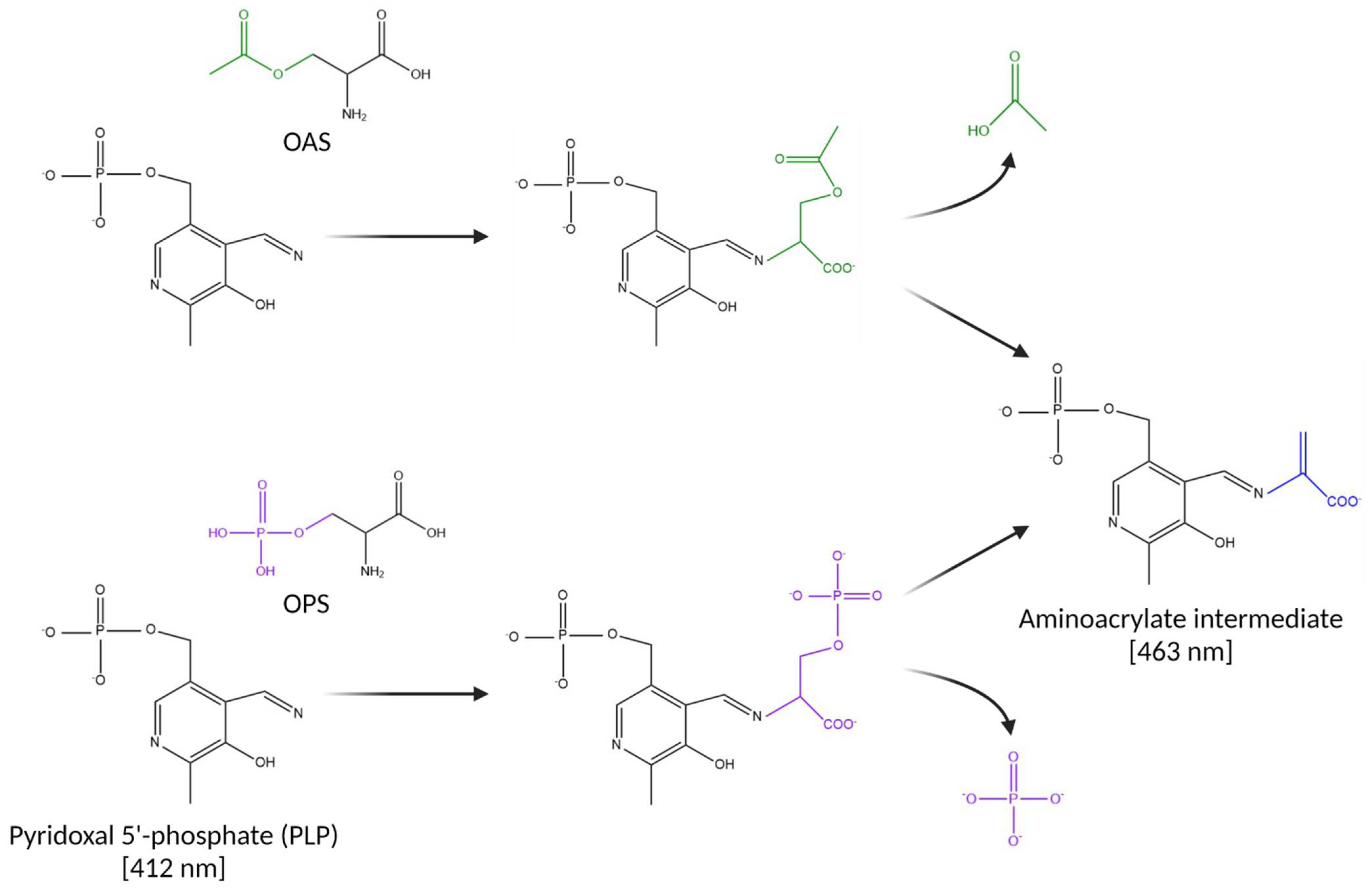 Biomolecules 13 00086 g001 Biomolecules 13 00086 g001