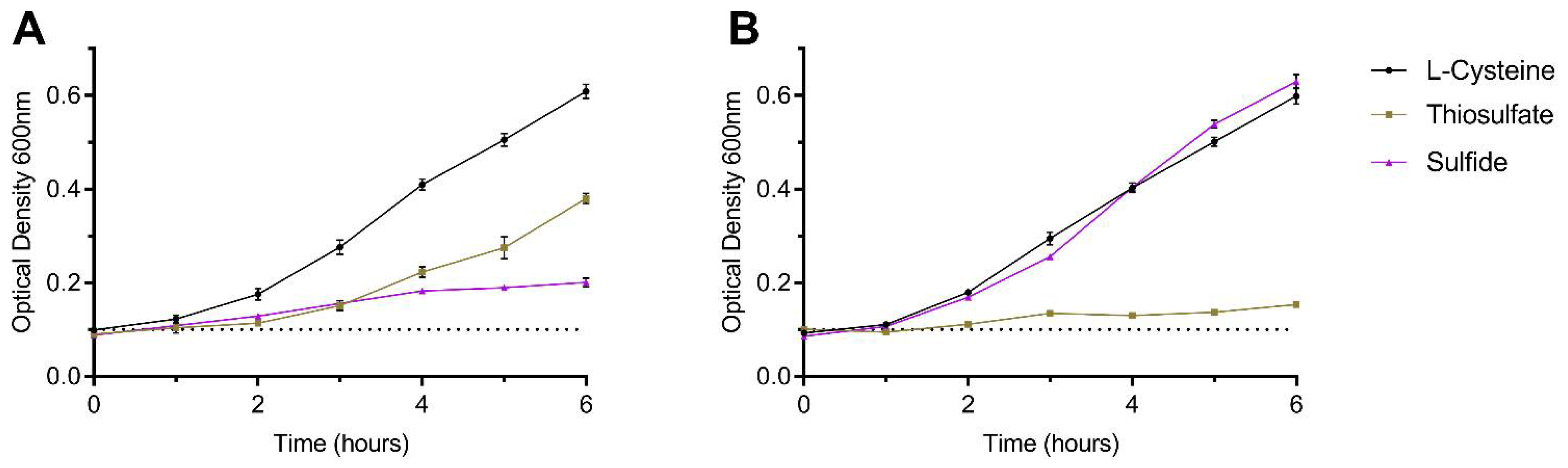 Biomolecules 13 00086 g005 Biomolecules 13 00086 g005