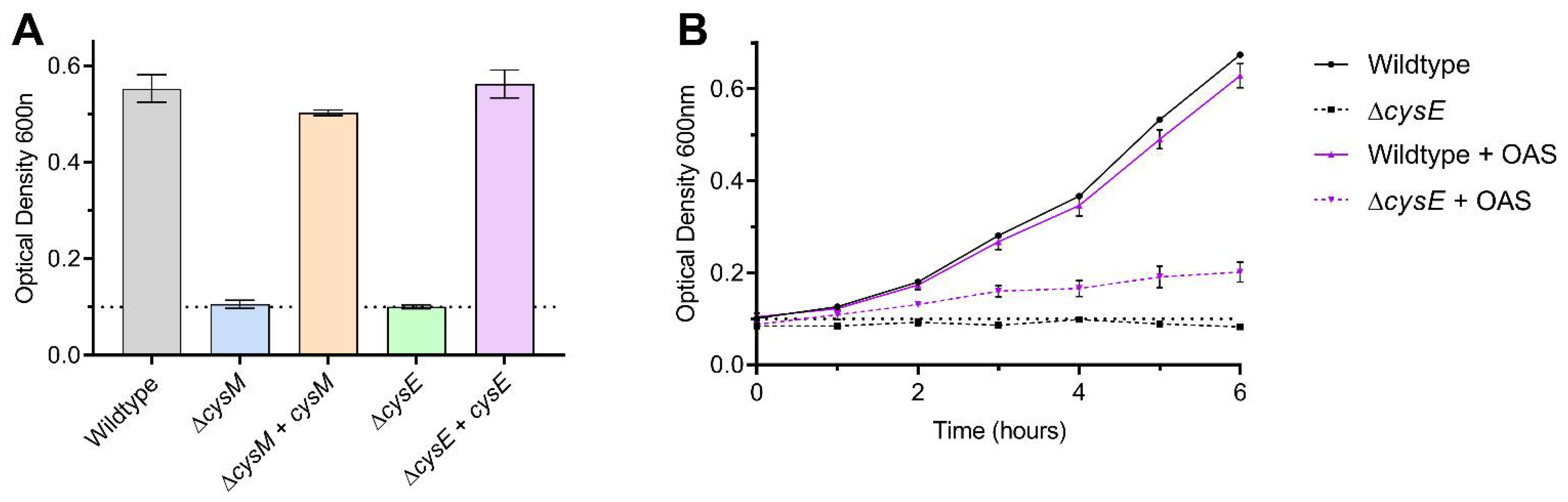 Biomolecules 13 00086 g006 Biomolecules 13 00086 g006