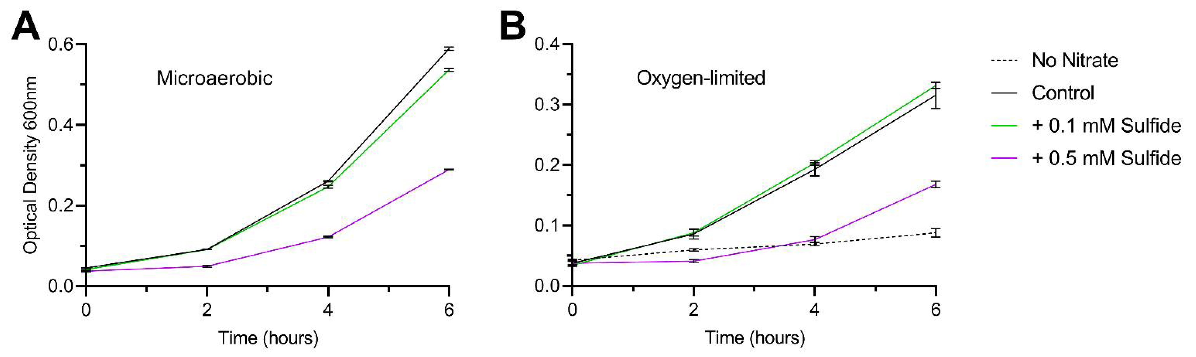Biomolecules 13 00086 g008 Biomolecules 13 00086 g008