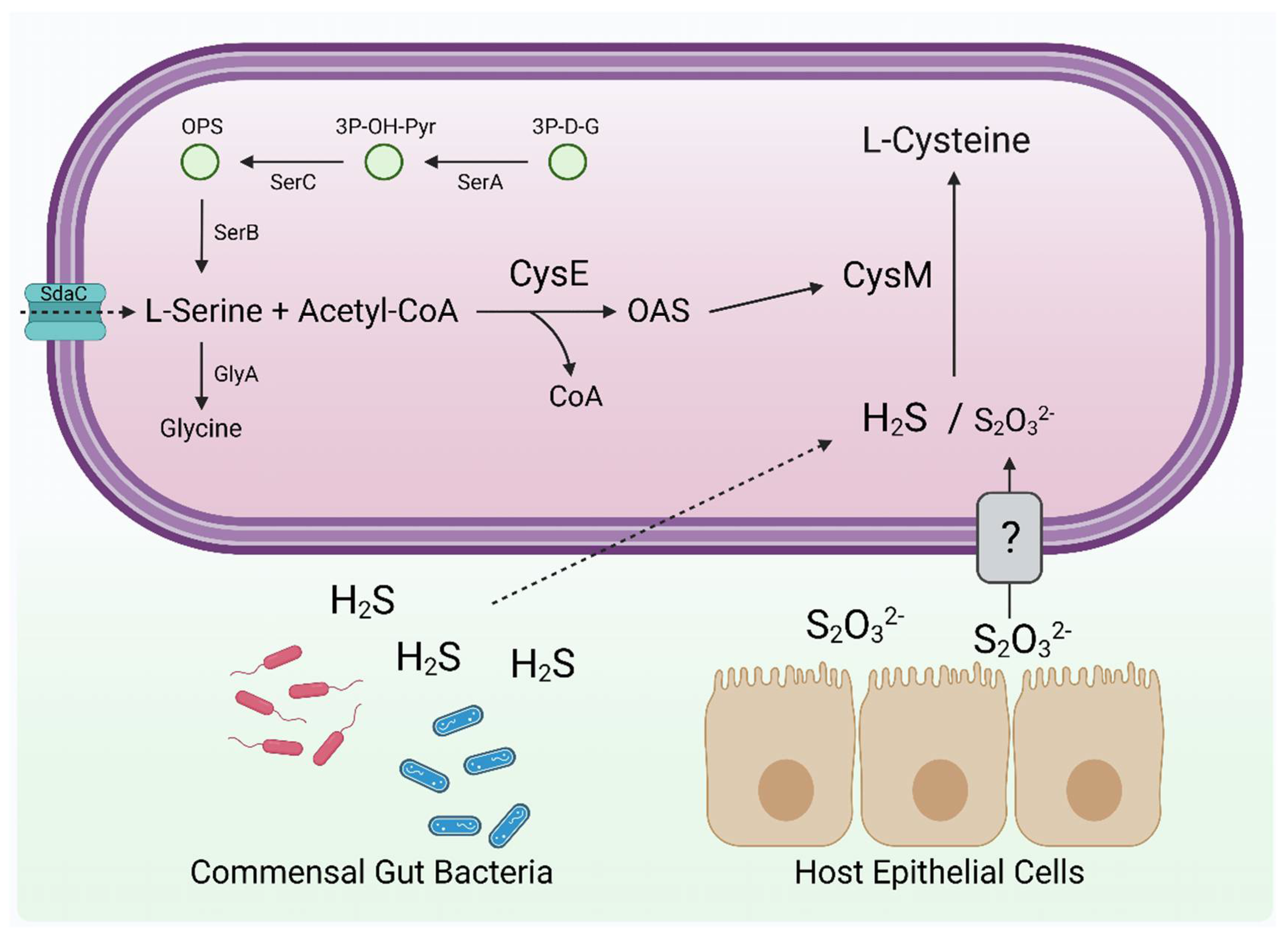Biomolecules 13 00086 g009 Biomolecules 13 00086 g009